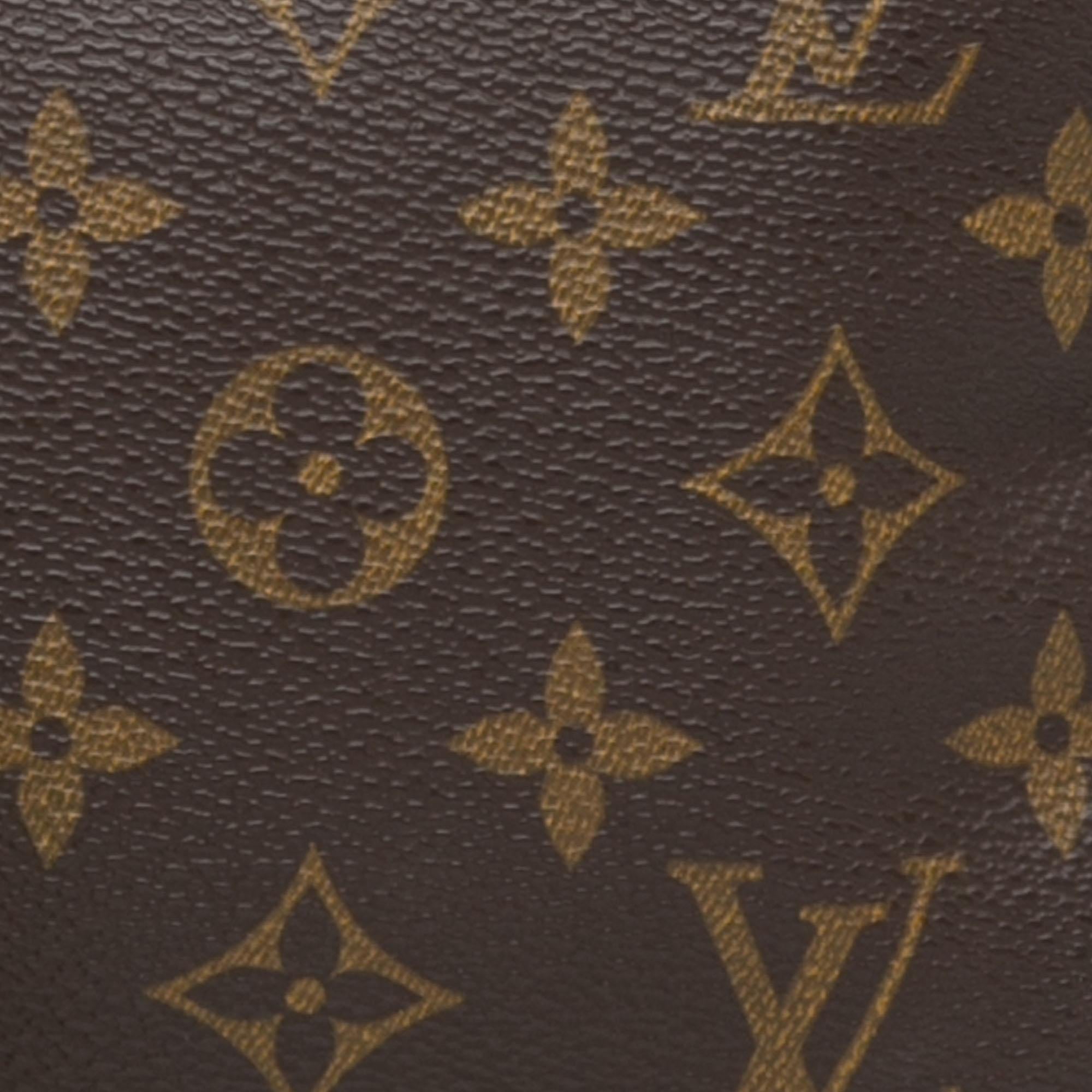 Louis Vuitton Monogram Pochette Accessoires