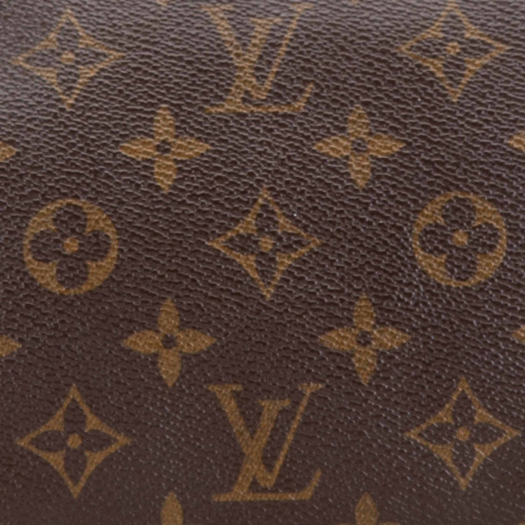 Louis Vuitton Monogram Pochette Accessoires