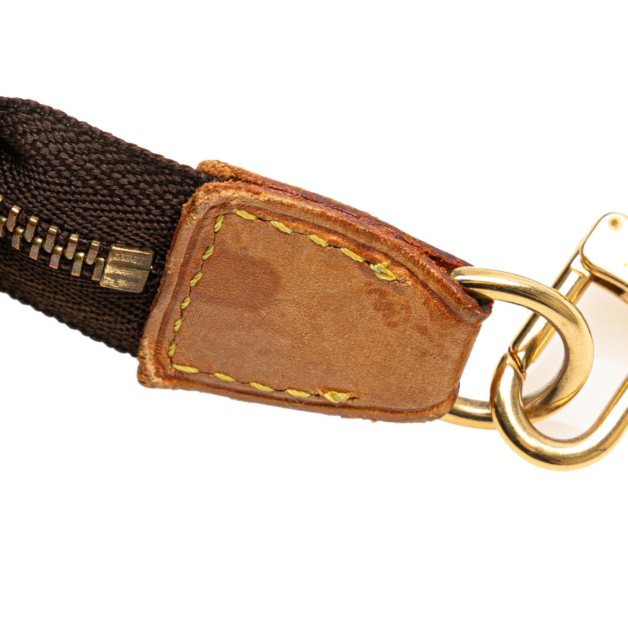 Louis Vuitton Monogram Pochette Accessoires