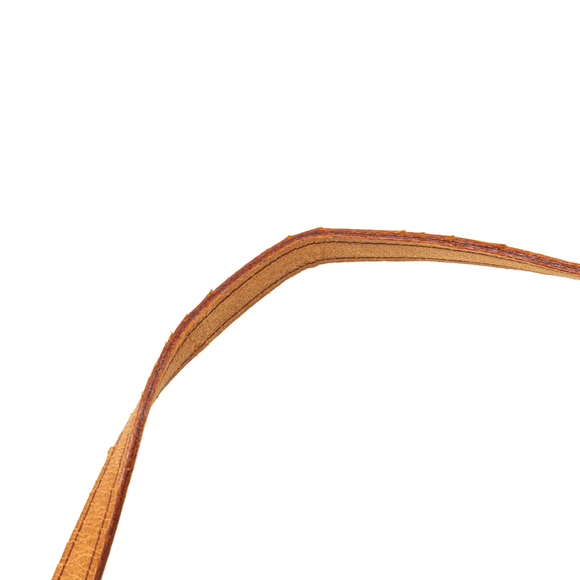 Louis Vuitton Monogram Pochette Accessoires