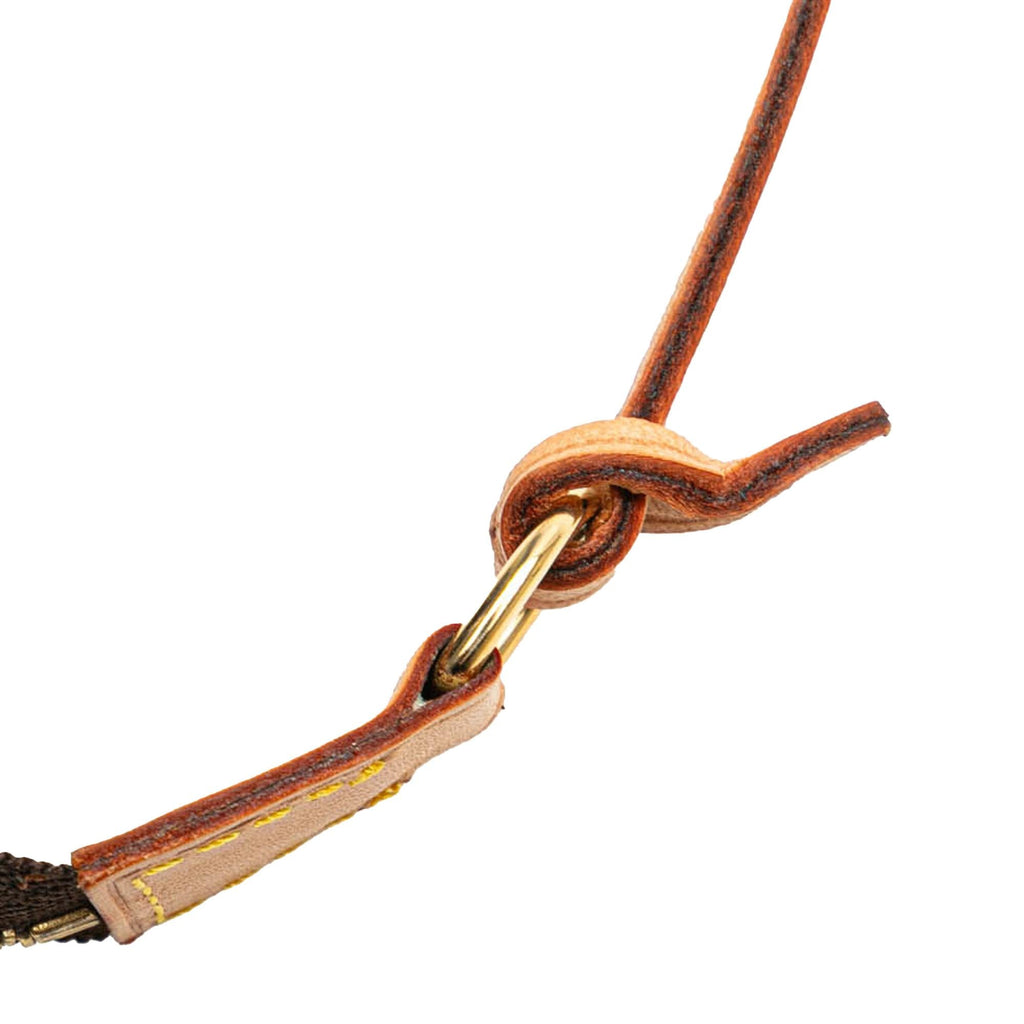 Louis Vuitton Monogram Pochette Accessoires