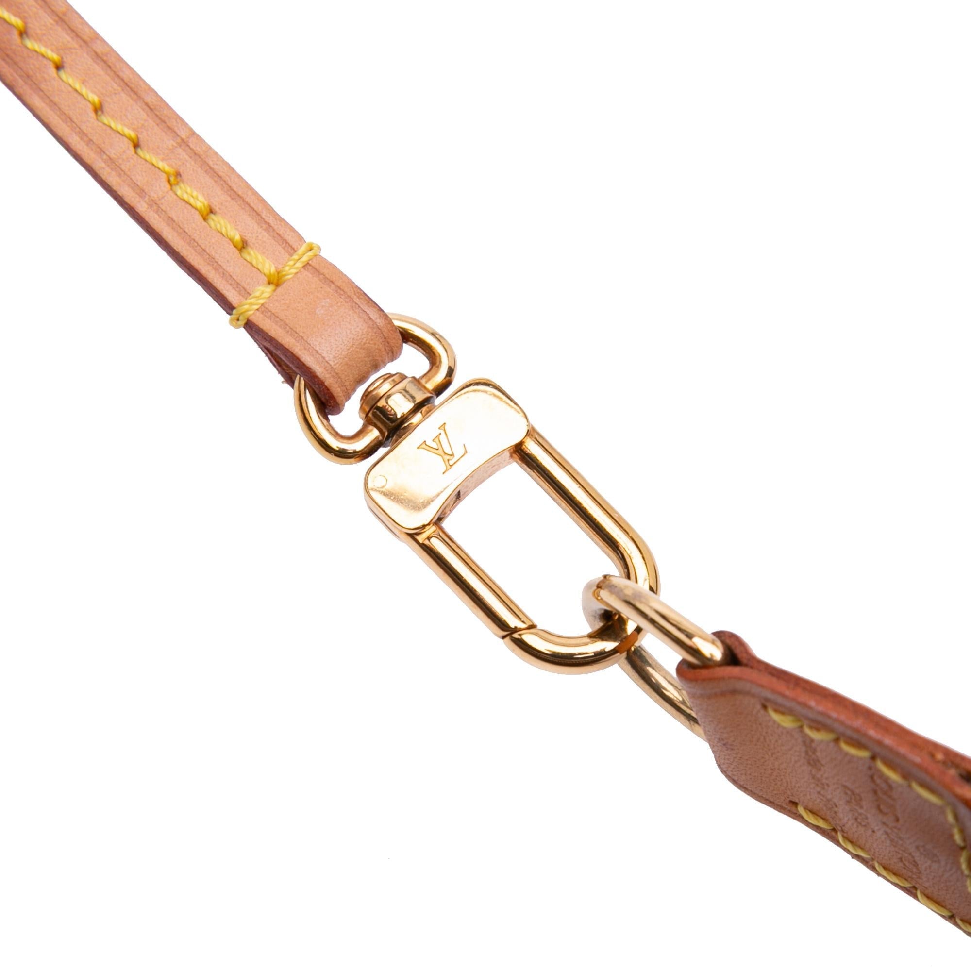 Louis Vuitton Monogram Pochette Accessoires