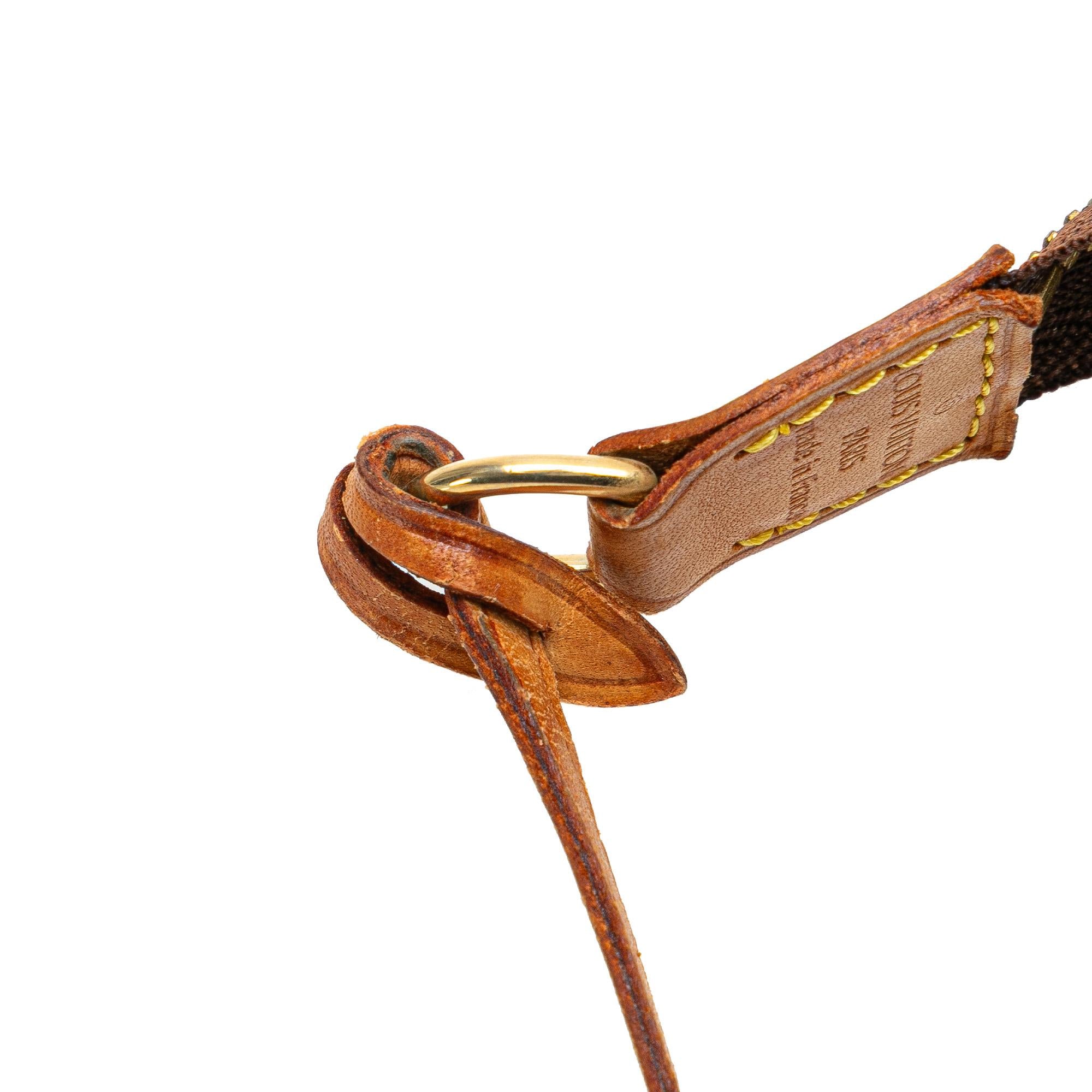 Louis Vuitton Monogram Pochette Accessoires