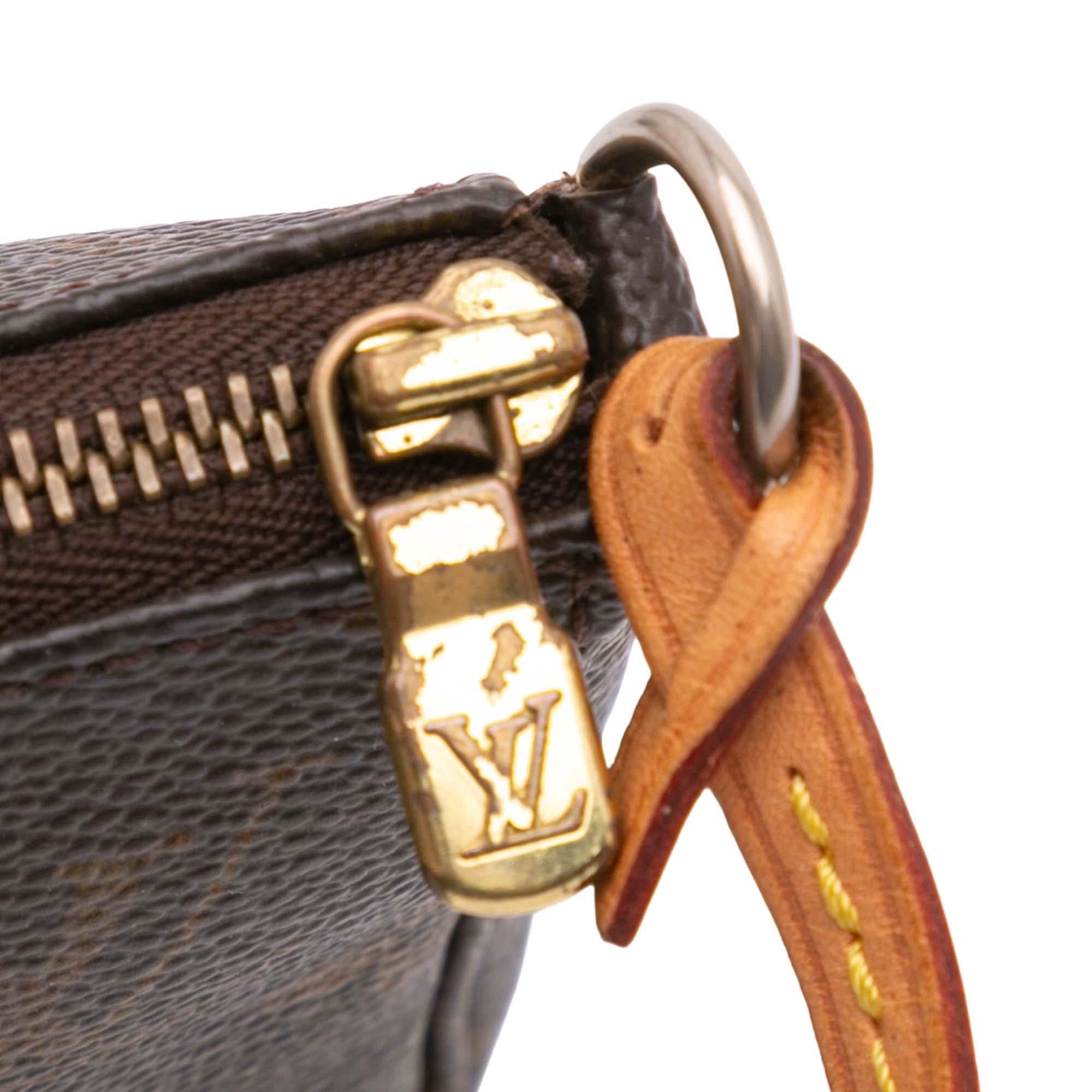 Louis Vuitton Monogram Pochette Accessoires