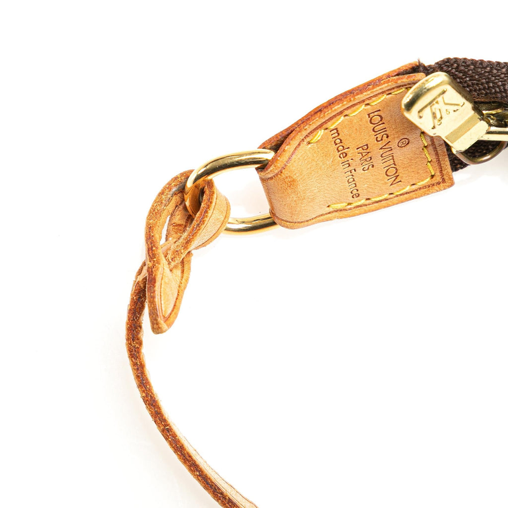 Louis Vuitton Monogram Pochette Accessoires