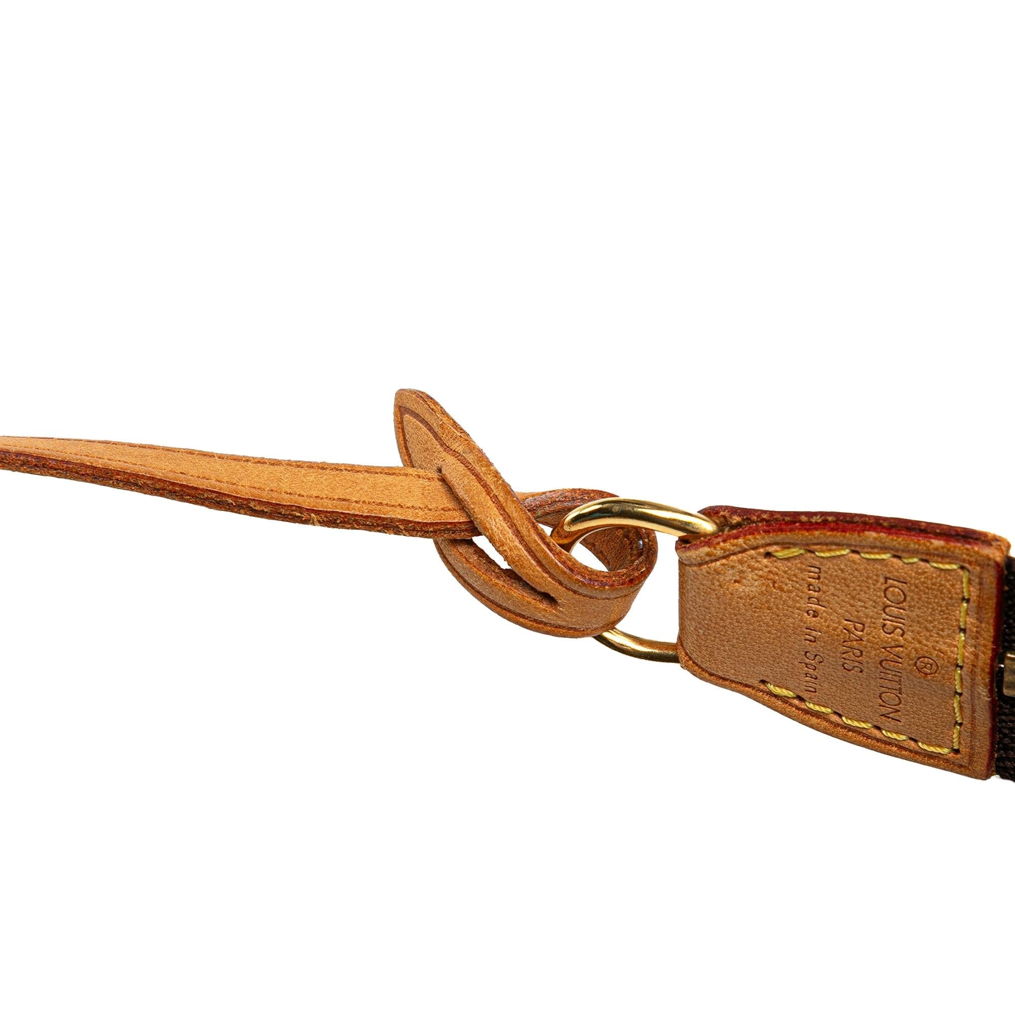 Louis Vuitton Monogram Pochette Accessoires