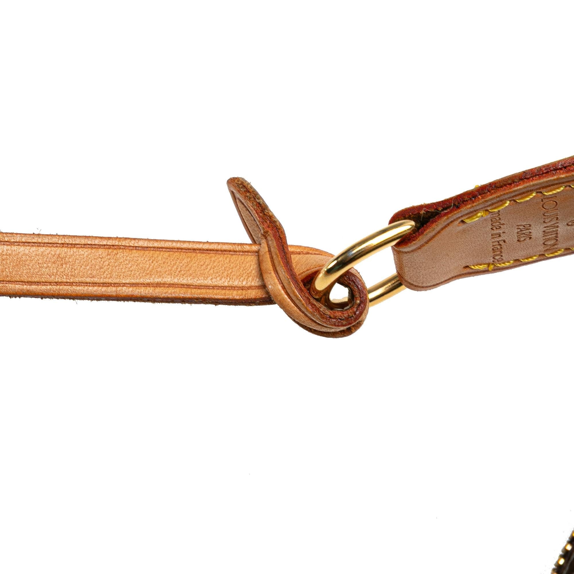 Louis Vuitton Monogram Pochette Accessoires