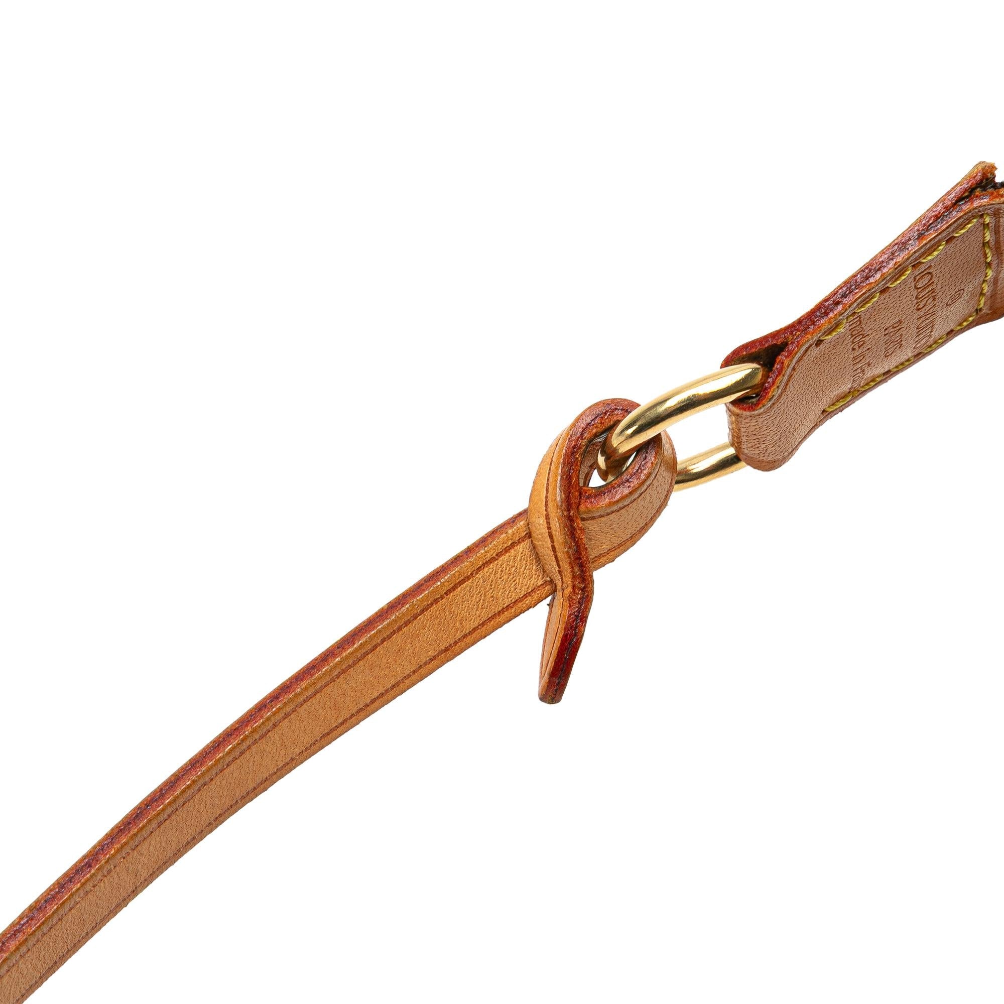 Louis Vuitton Monogram Pochette Accessoires