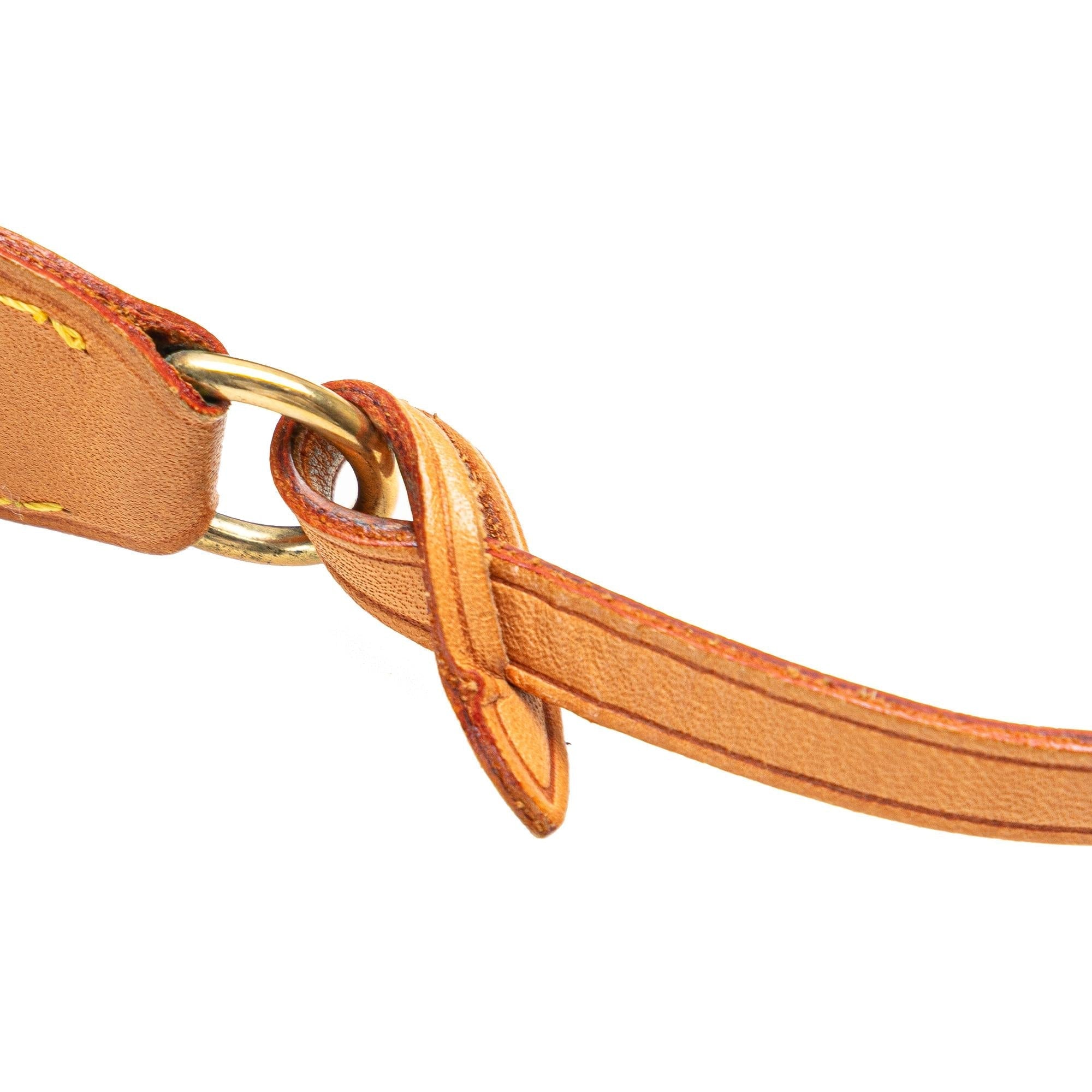 Louis Vuitton Monogram Pochette Accessoires