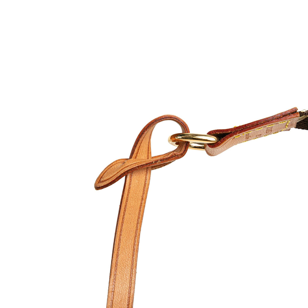 Louis Vuitton Monogram Pochette Accessoires