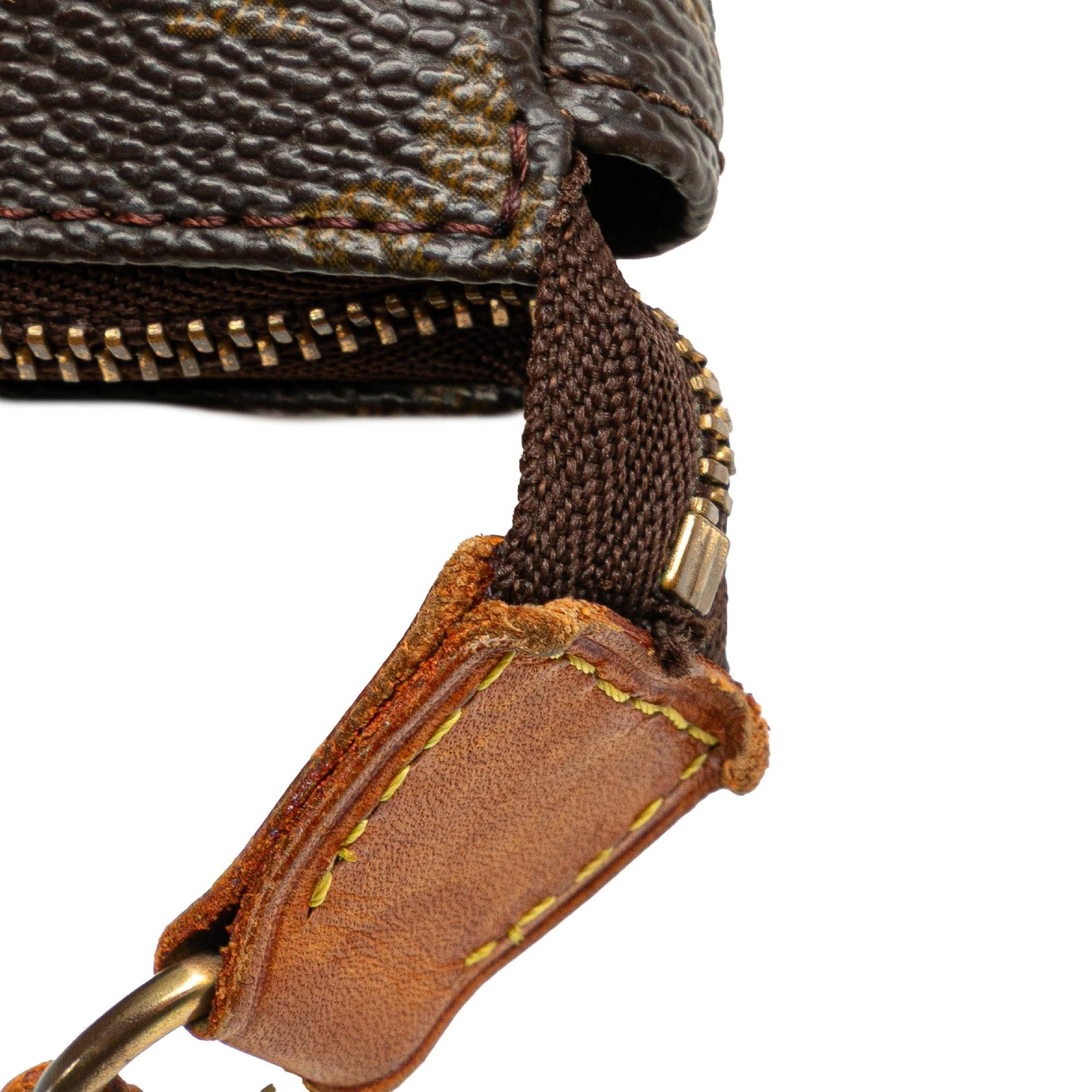 Louis Vuitton Monogram Pochette Accessoires