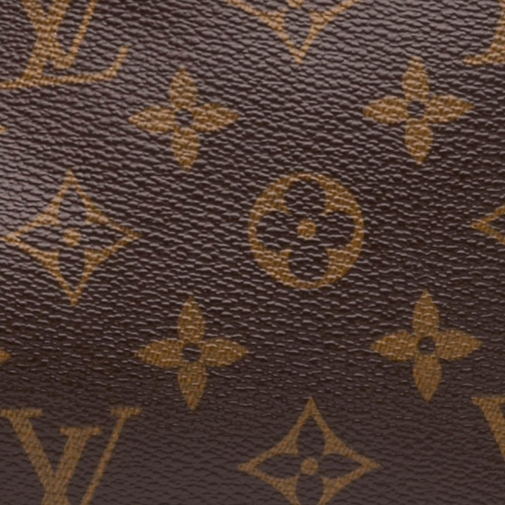 Louis Vuitton Monogram Pochette Accessoires