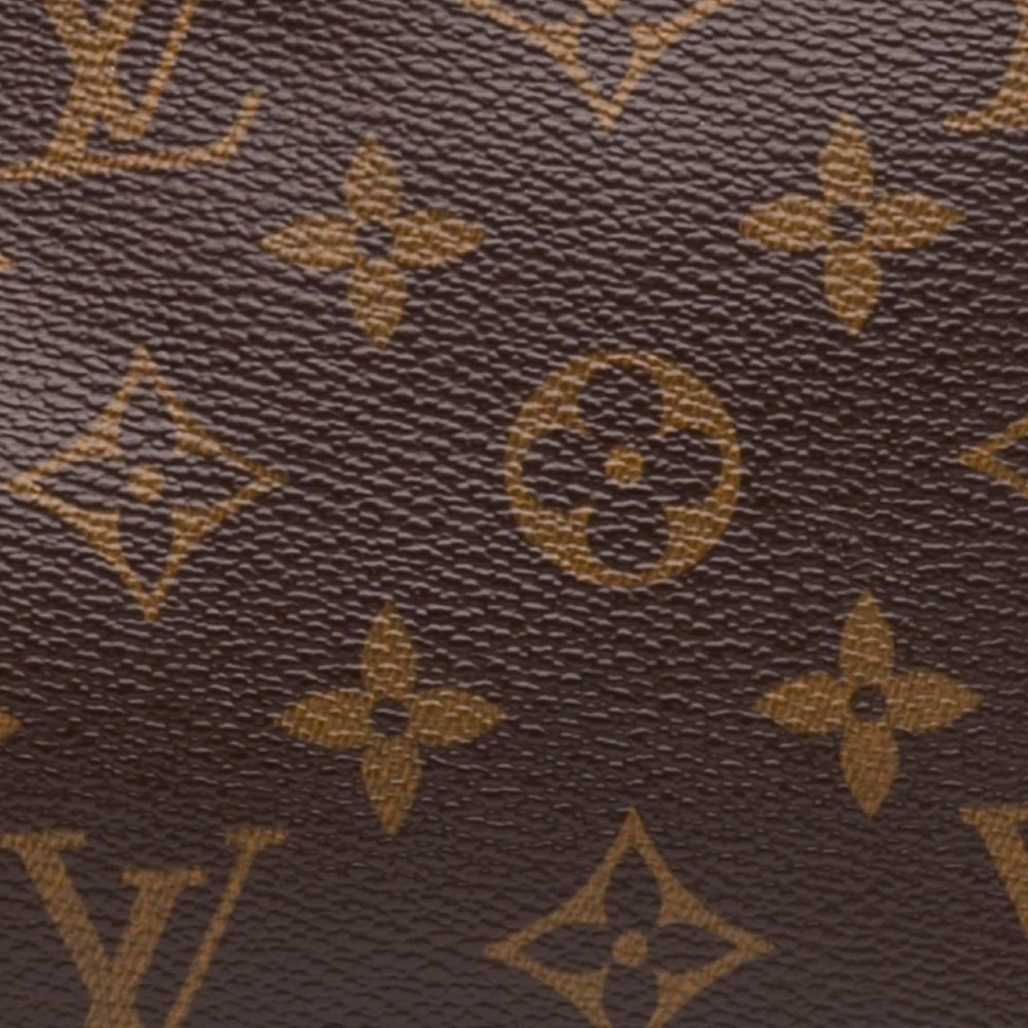 Louis Vuitton Monogram Pochette Accessoires