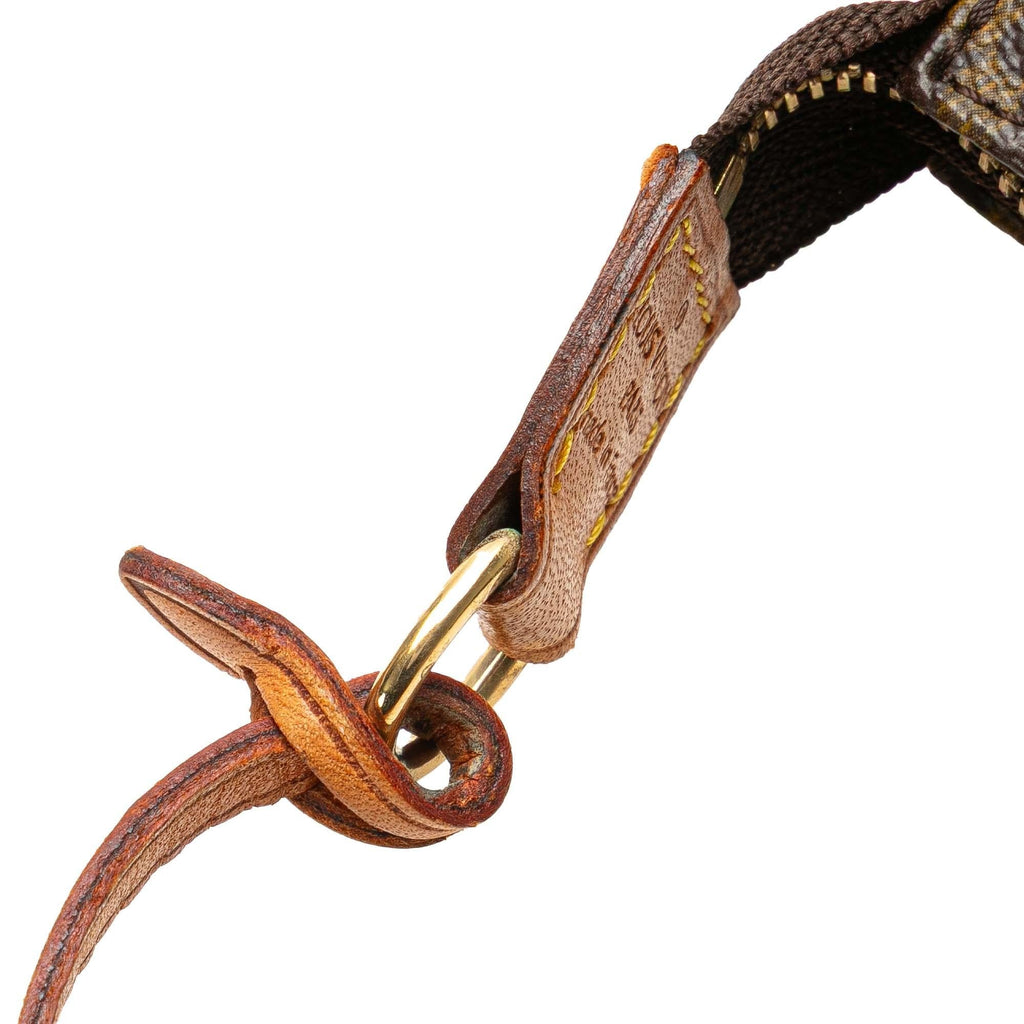 Louis Vuitton Monogram Pochette Accessoires