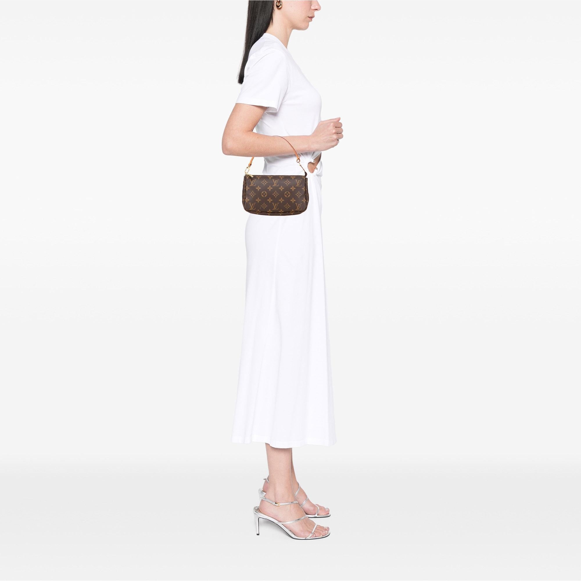 Louis Vuitton Monogram Pochette Accessoires