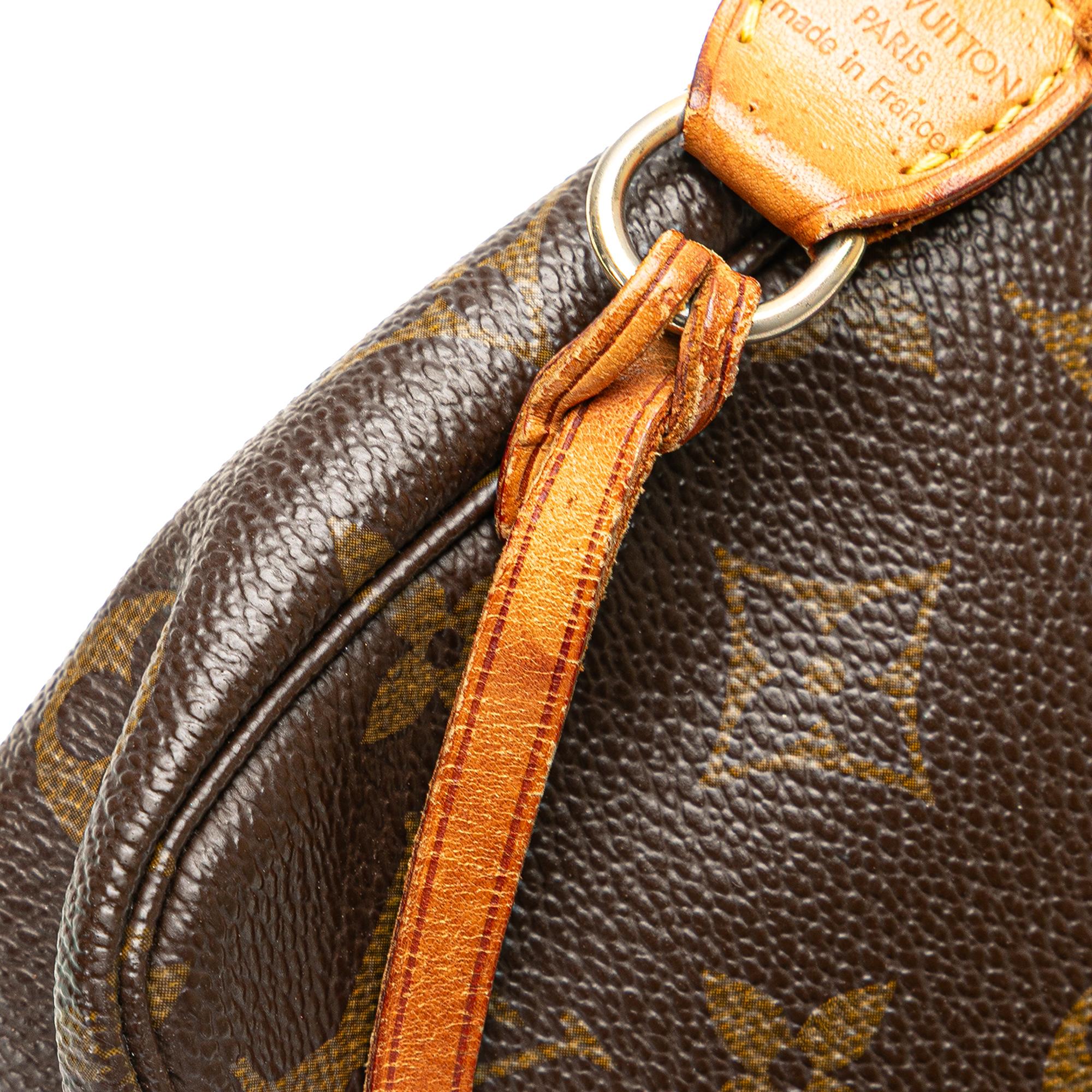 Louis Vuitton Monogram Pochette Accessoires
