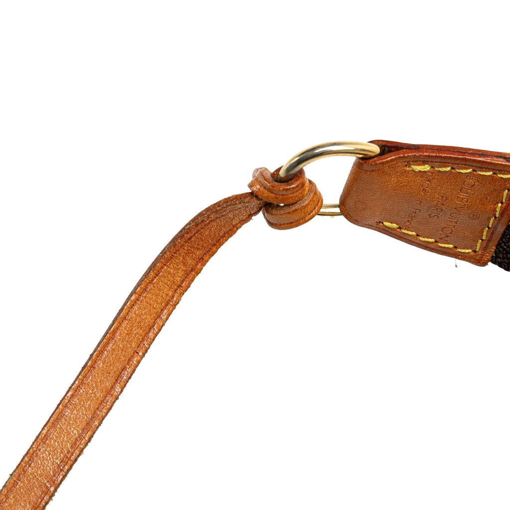 Louis Vuitton Monogram Pochette Accessoires