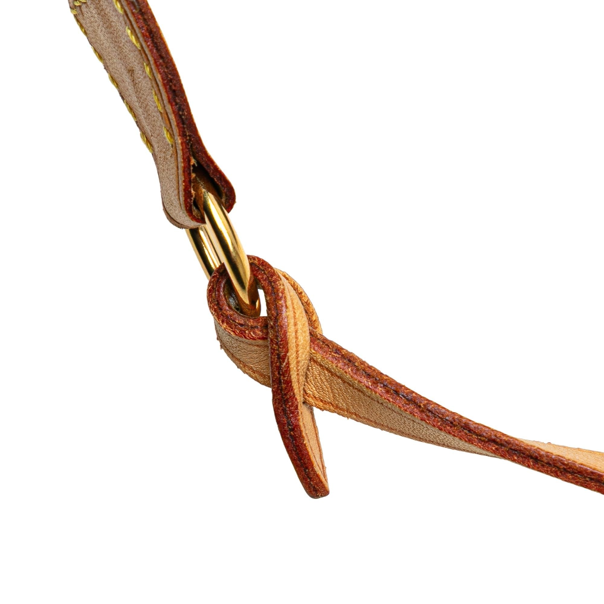 Louis Vuitton Monogram Pochette Accessoires
