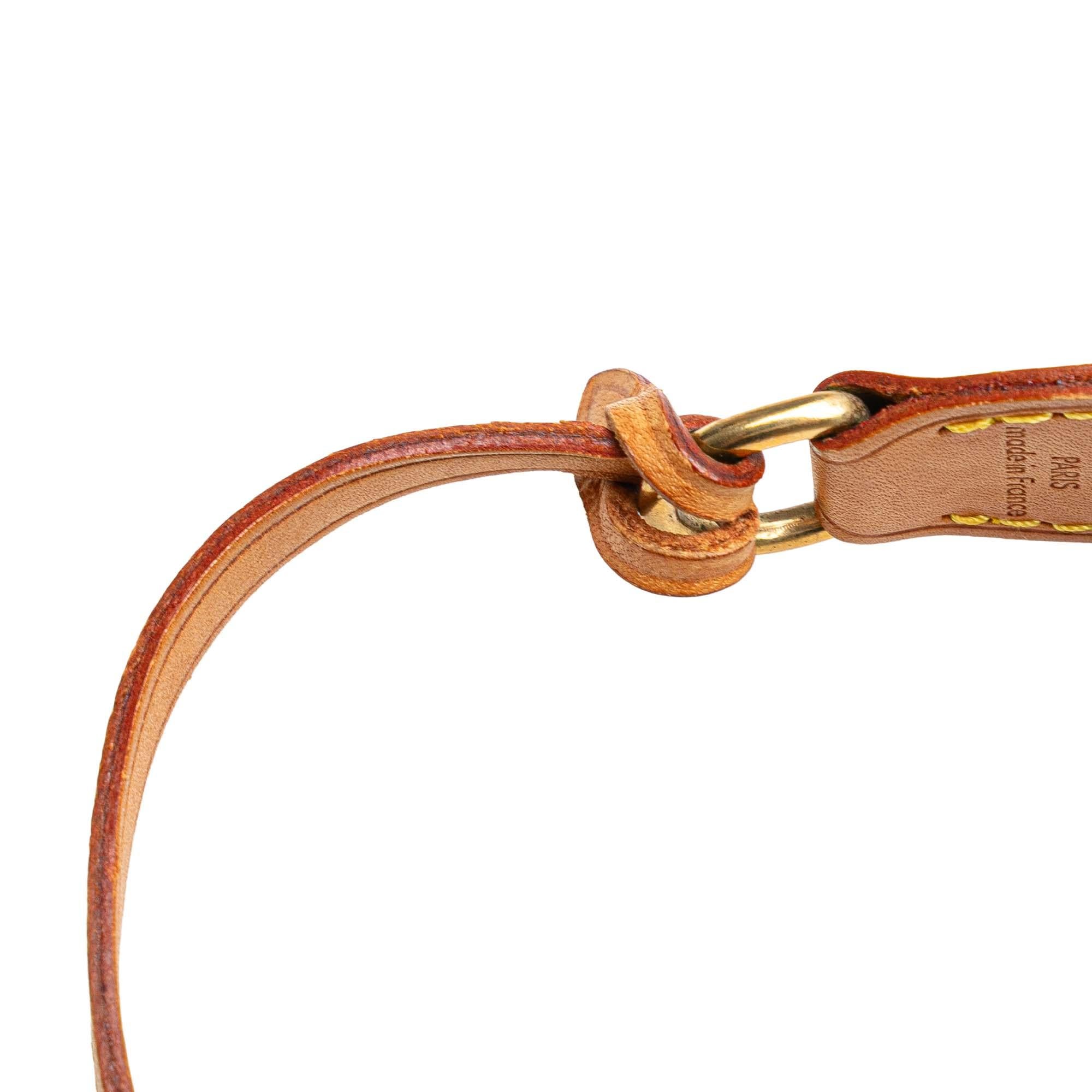 Louis Vuitton Monogram Pochette Accessoires