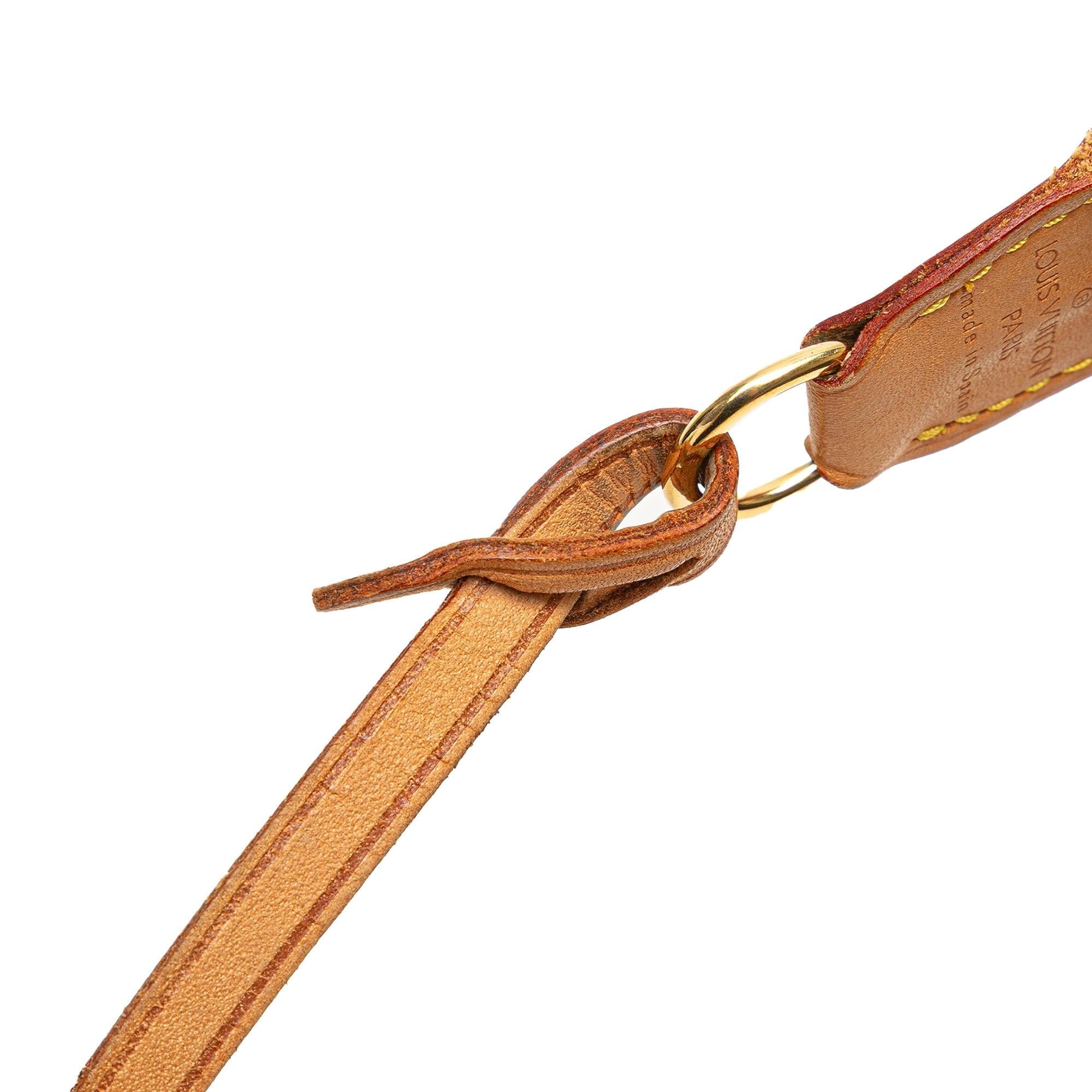 Louis Vuitton Monogram Pochette Accessoires
