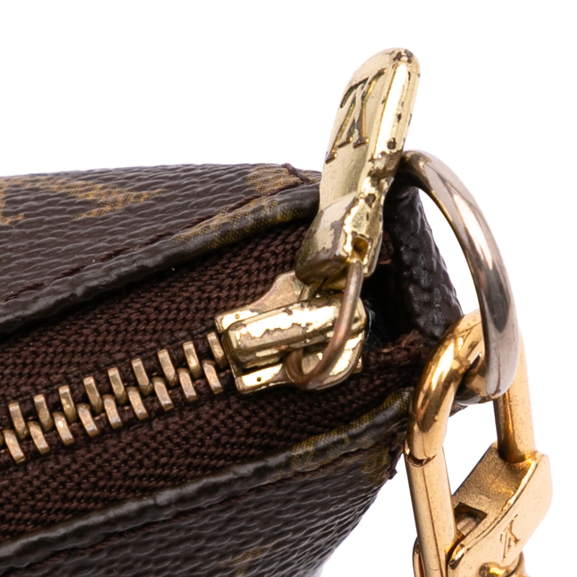 Louis Vuitton Monogram Pochette Accessoires