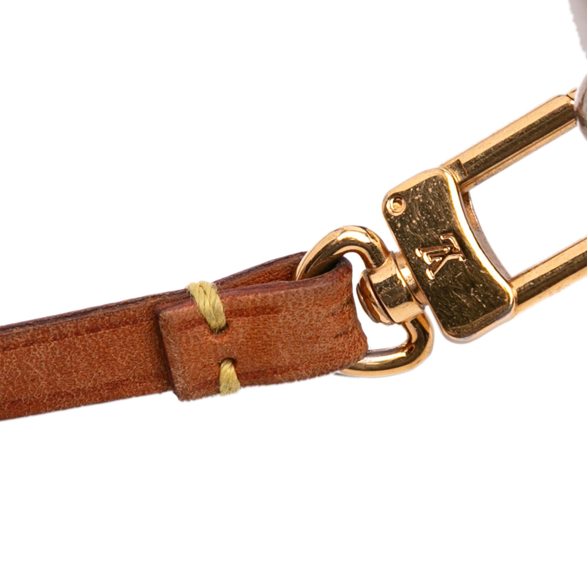 Louis Vuitton Monogram Pochette Accessoires