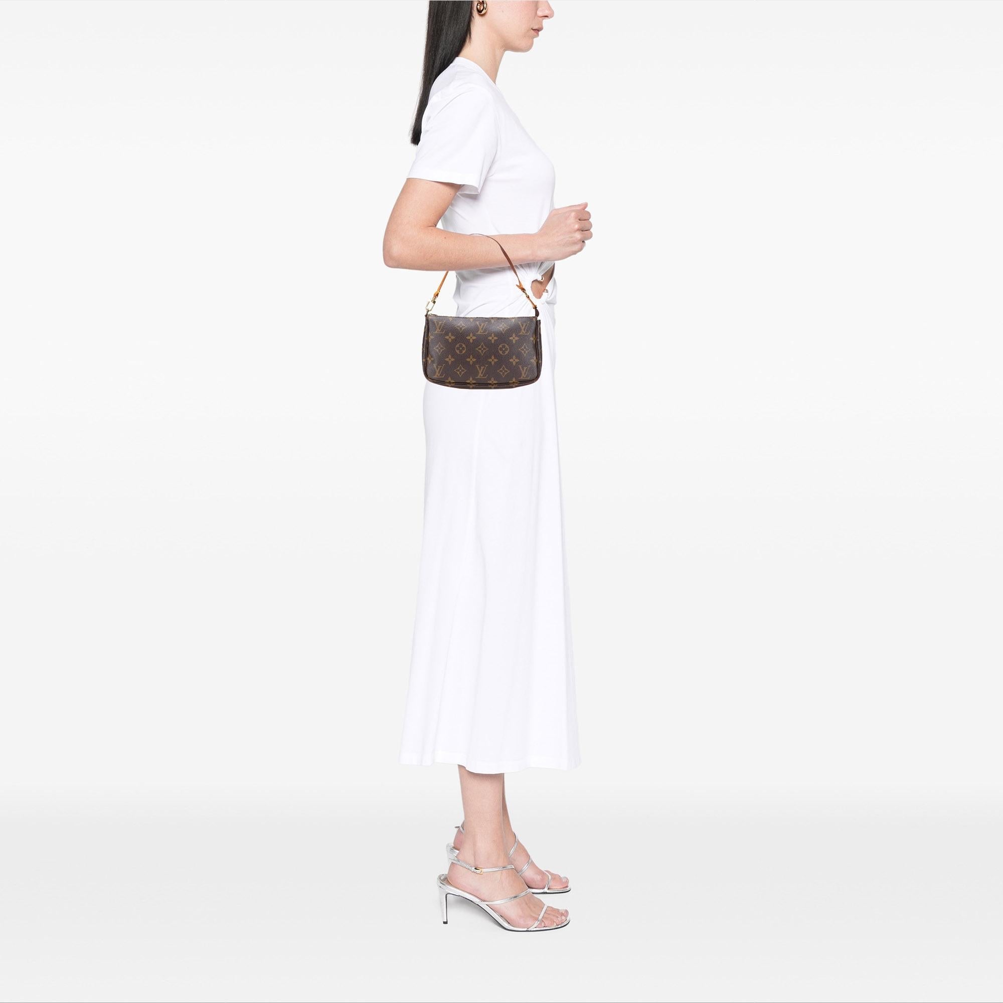Louis Vuitton Monogram Pochette Accessoires