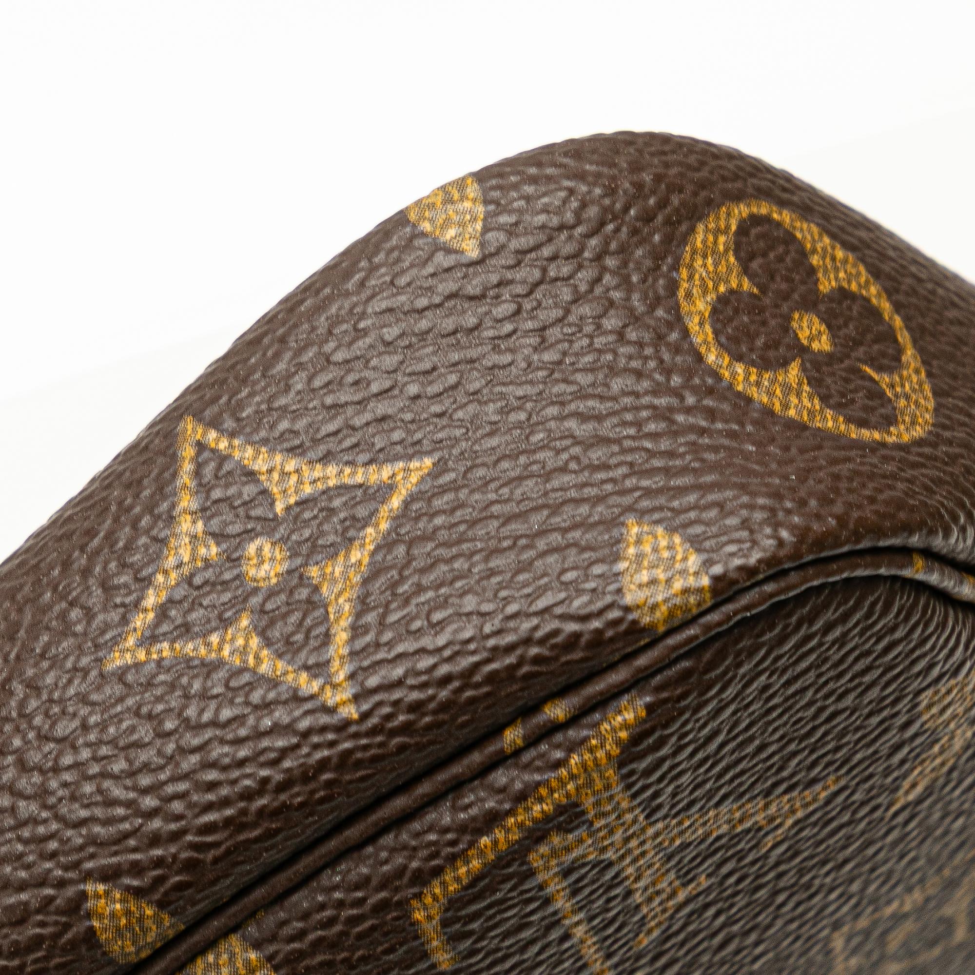 Louis Vuitton Monogram Pochette Accessoires