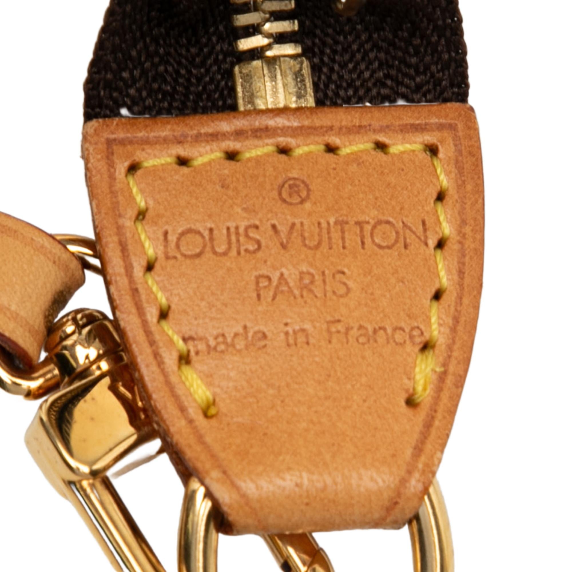 Louis Vuitton Monogram Pochette Accessoires