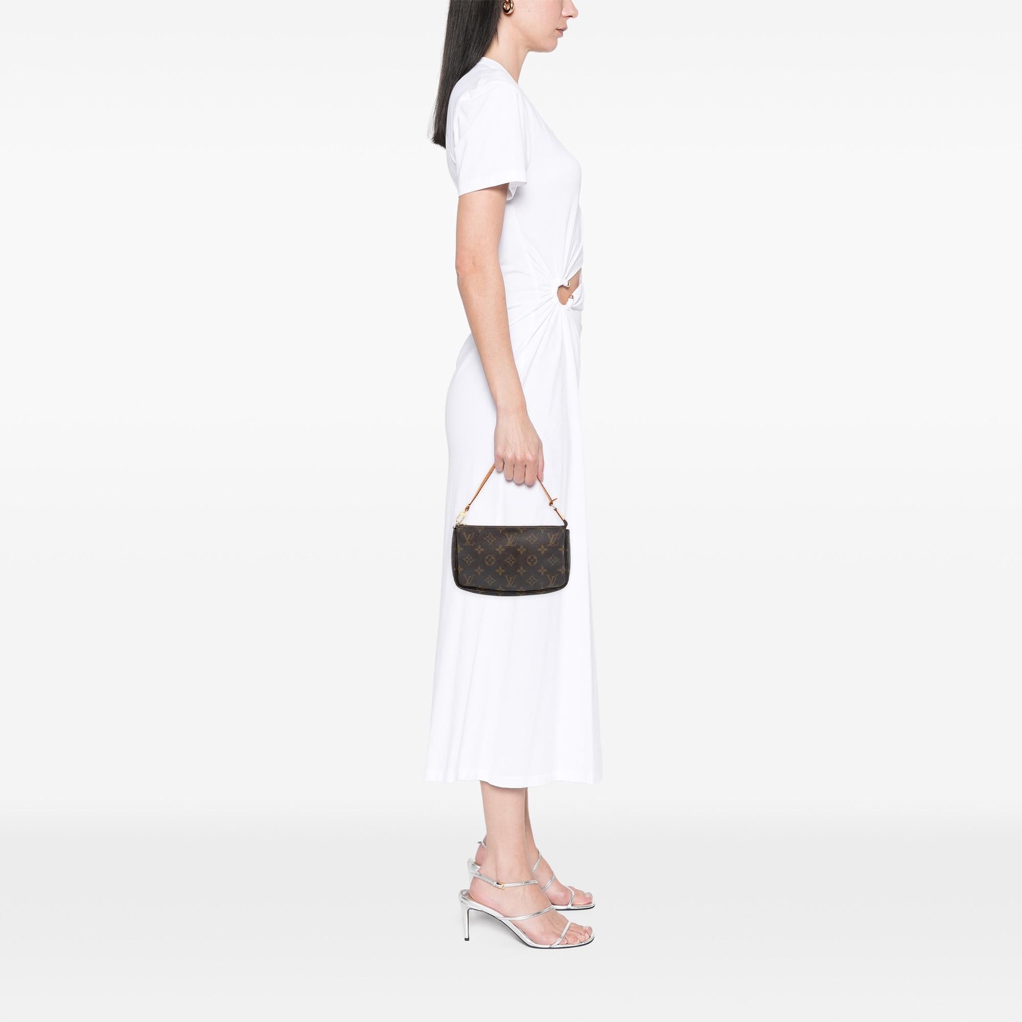 Louis Vuitton Monogram Pochette Accessoires