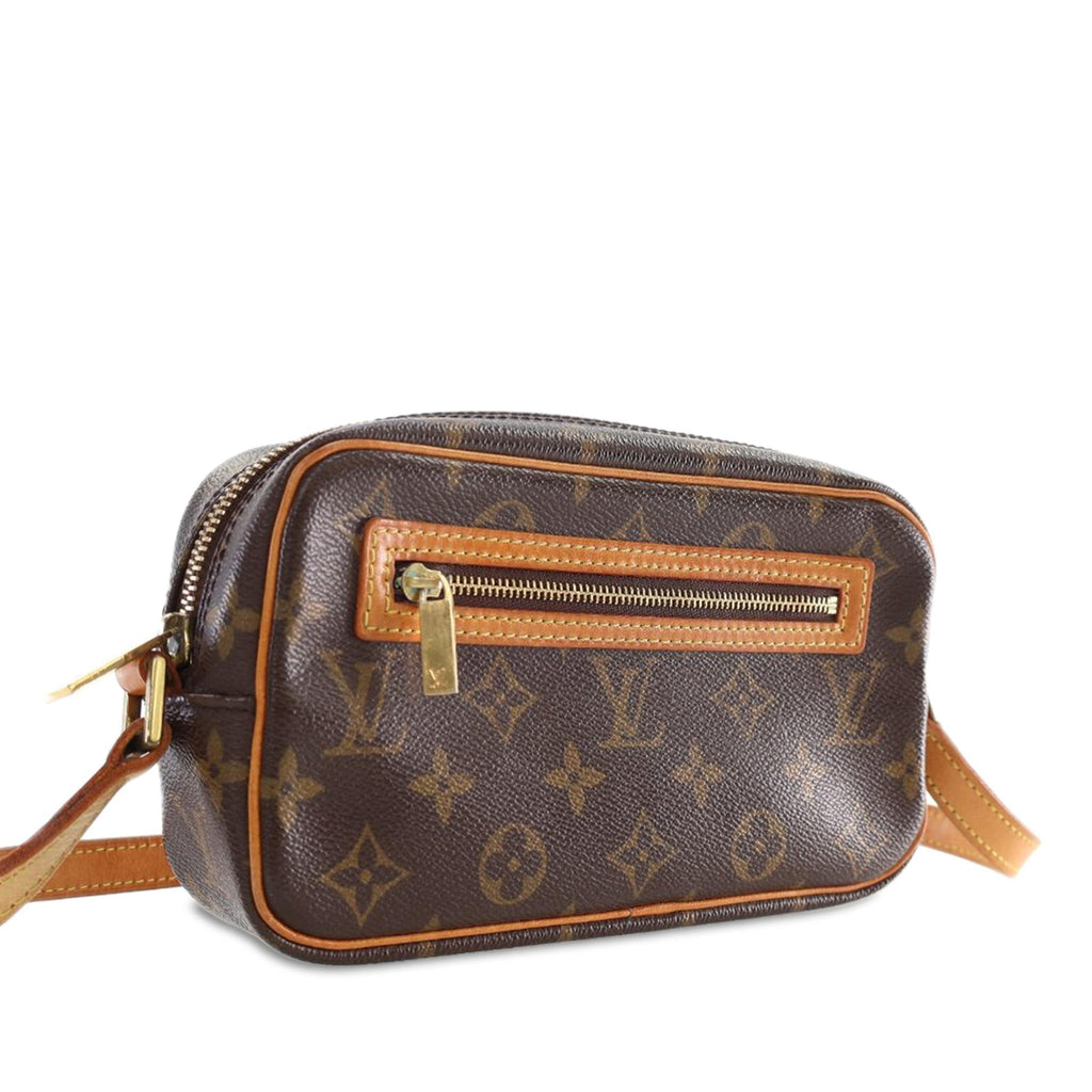 Louis Vuitton Monogram Pochette Cite
