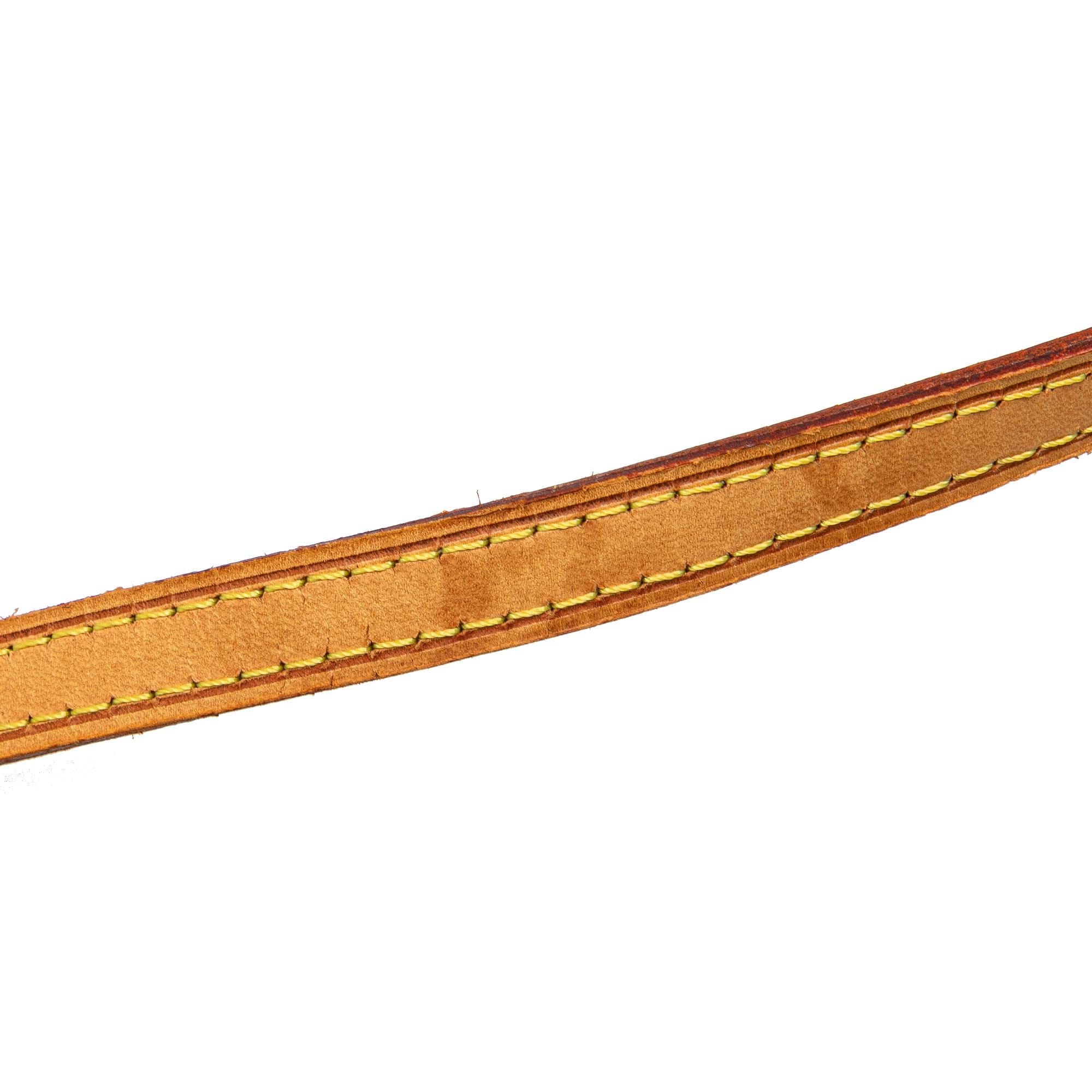 Louis Vuitton Monogram Pochette Twin PM (SHG-fh5q54)