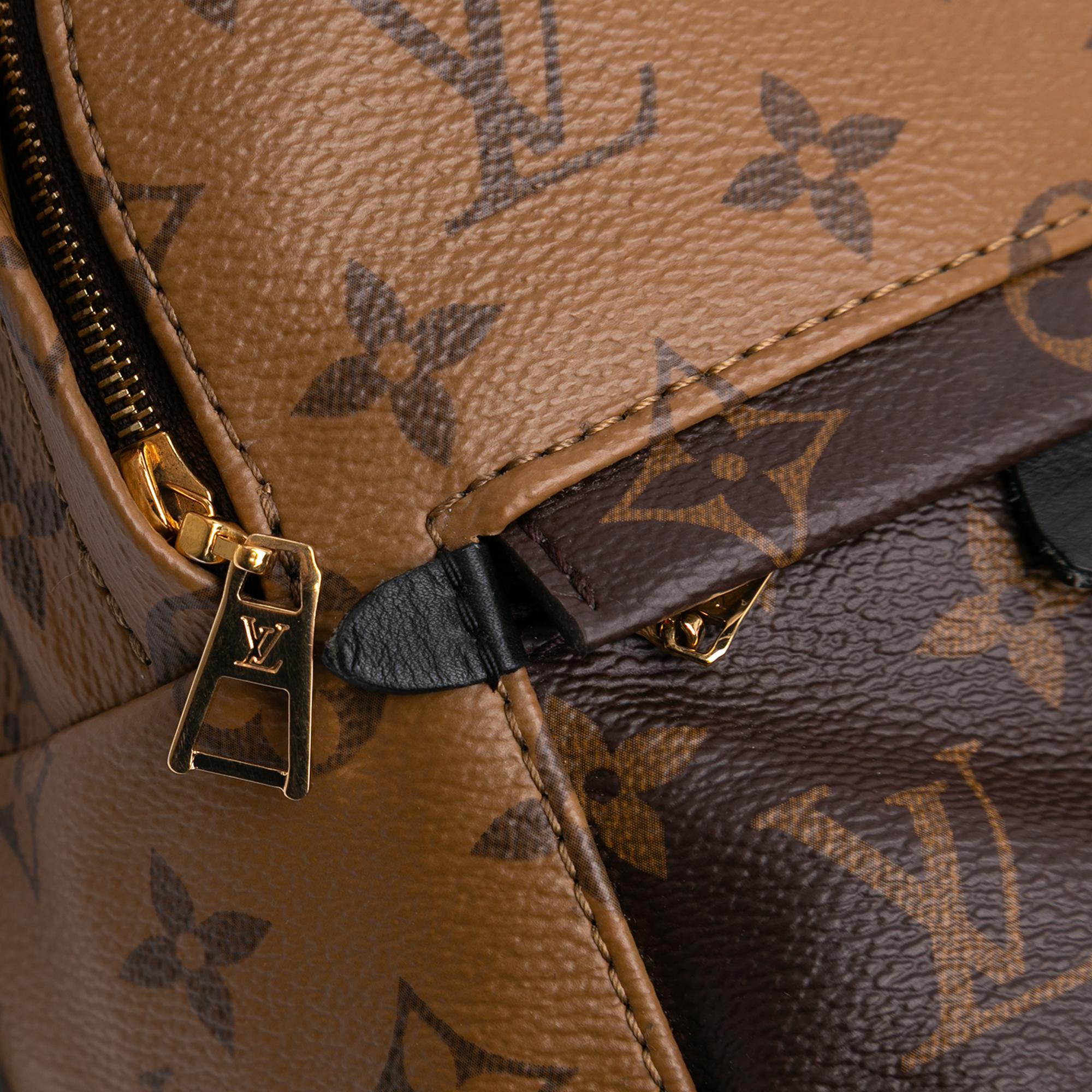 Louis Vuitton Monogram Reverse Mini Palm Springs