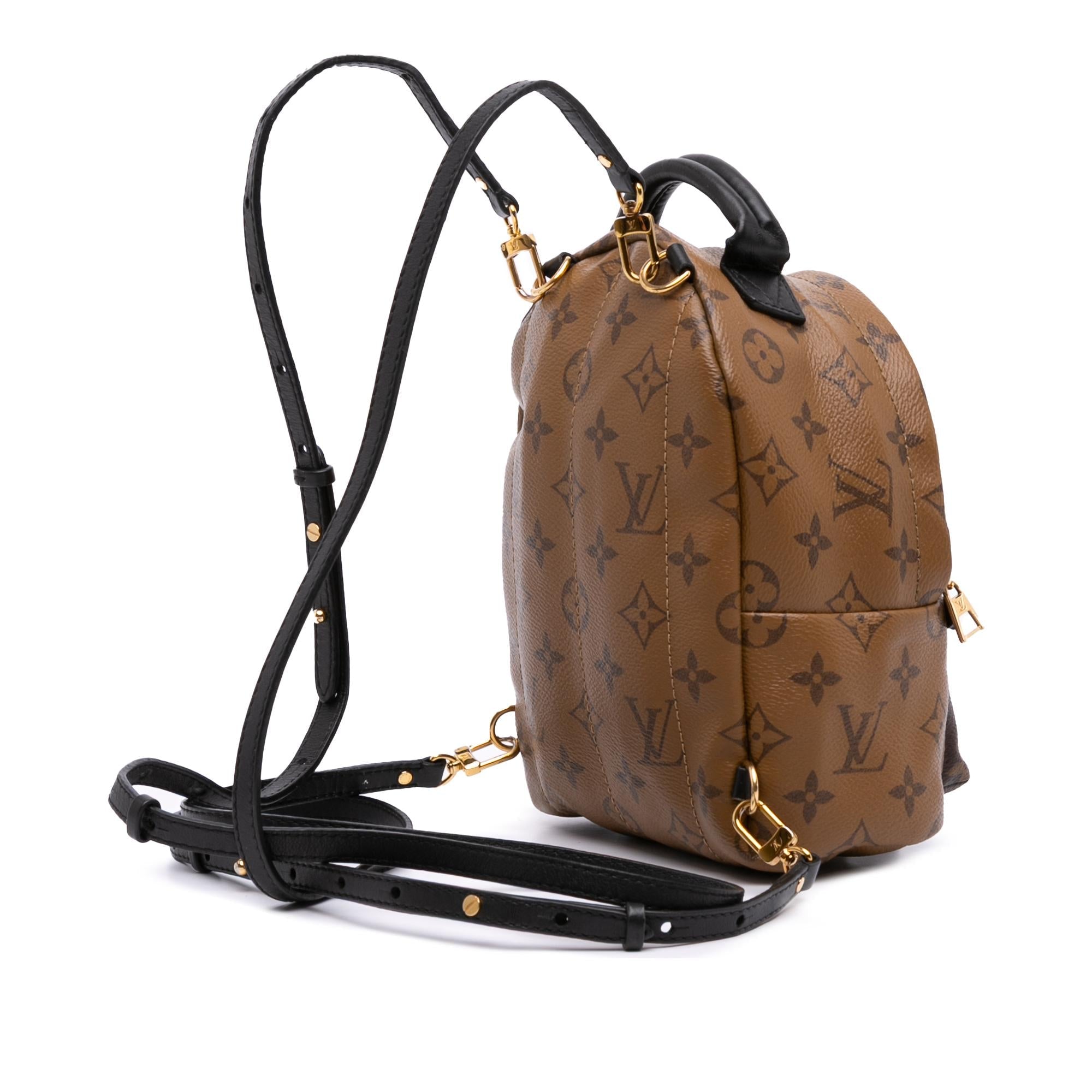 Louis Vuitton Monogram Reverse Mini Palm Springs