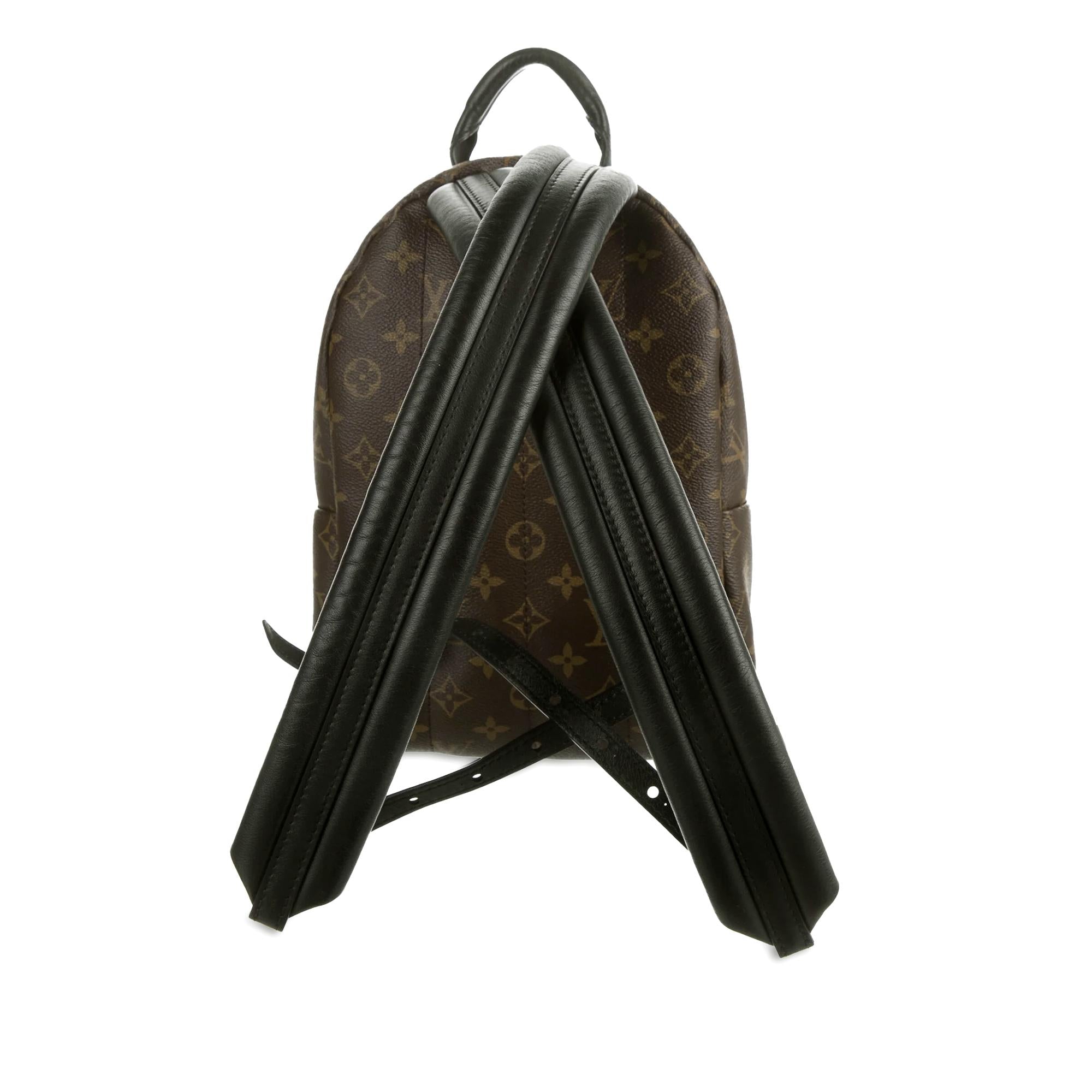 Louis Vuitton Monogram Reverse Palm Springs PM (SHG-A0T4yu)