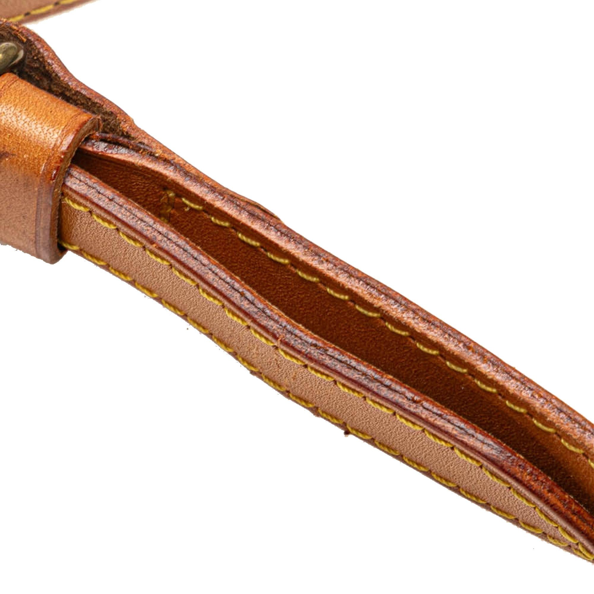 Louis Vuitton Monogram Saumur 30 (SHG-PFQISn)