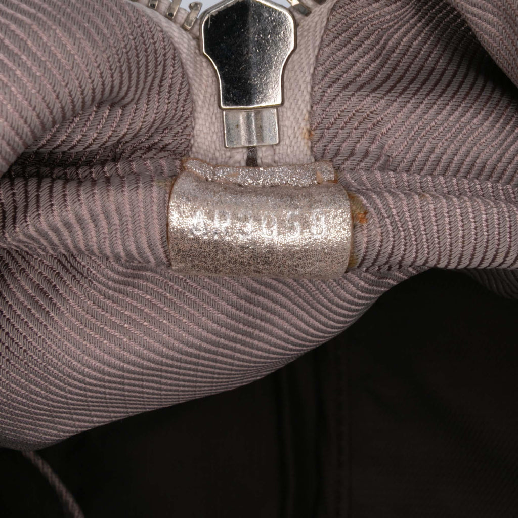 Louis Vuitton Monogram Shimmer Comete Bag