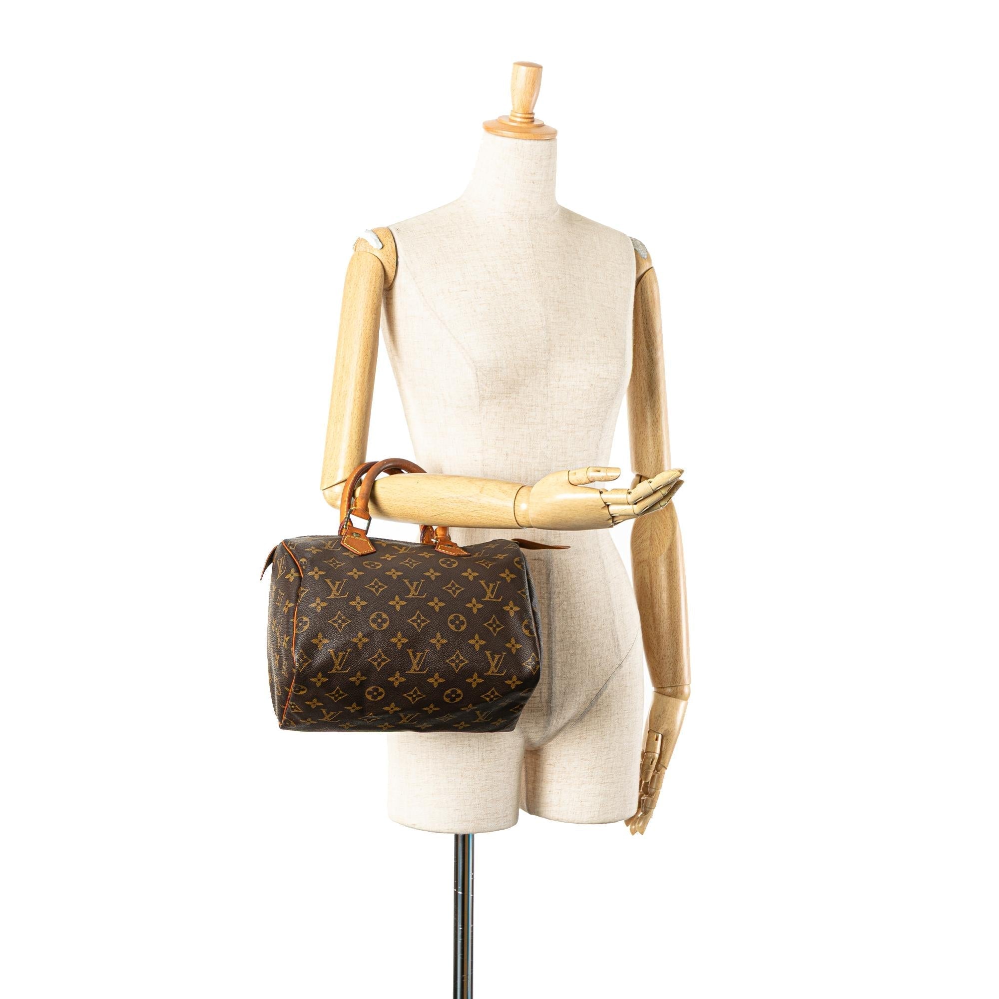 Louis Vuitton Monogram Speedy 25