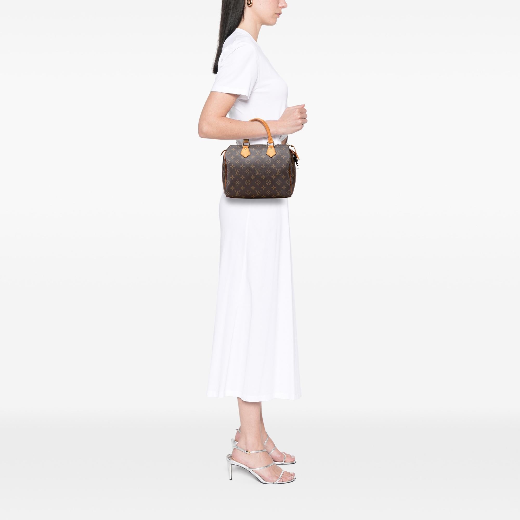 Louis Vuitton Monogram Speedy 25