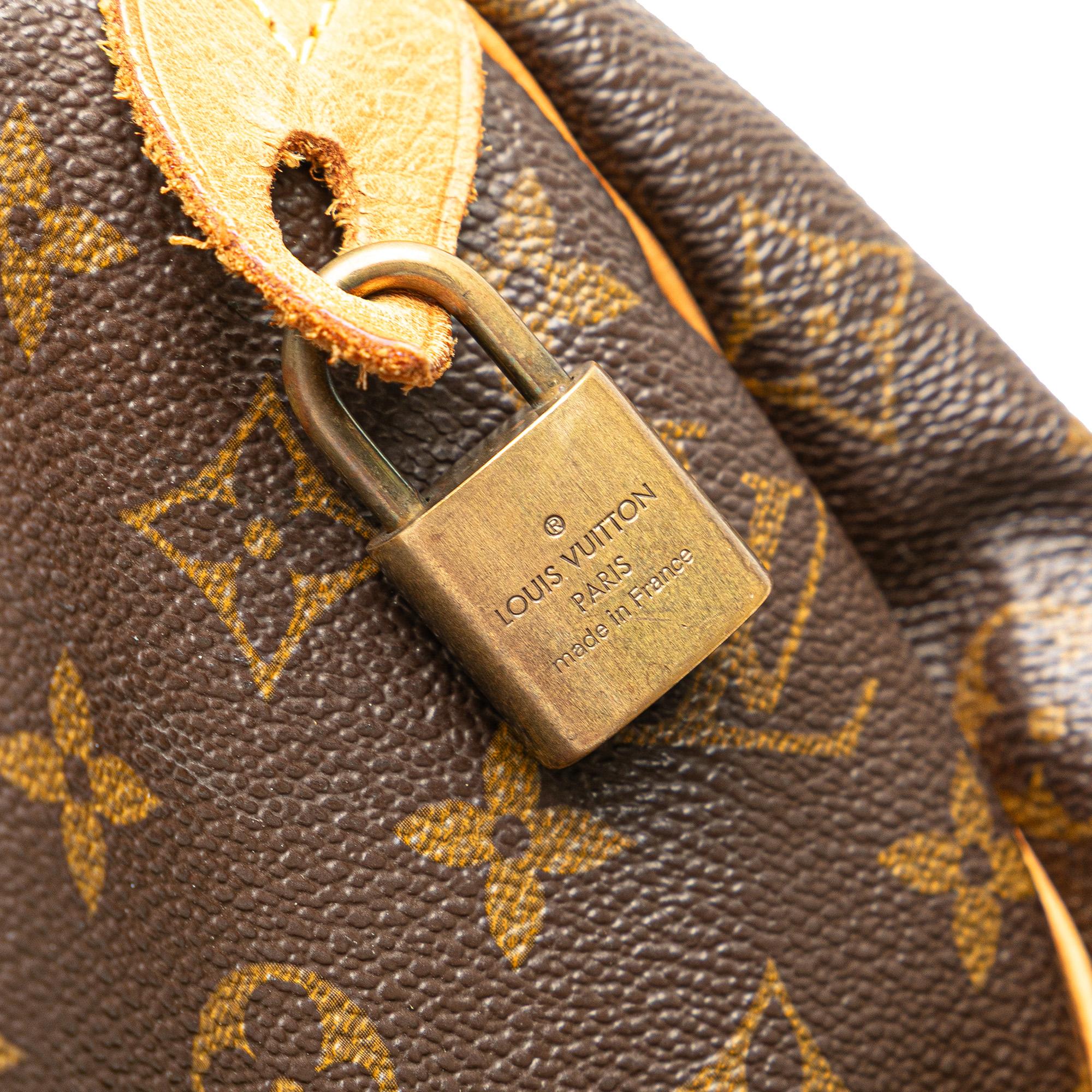 Louis Vuitton Monogram Speedy 25