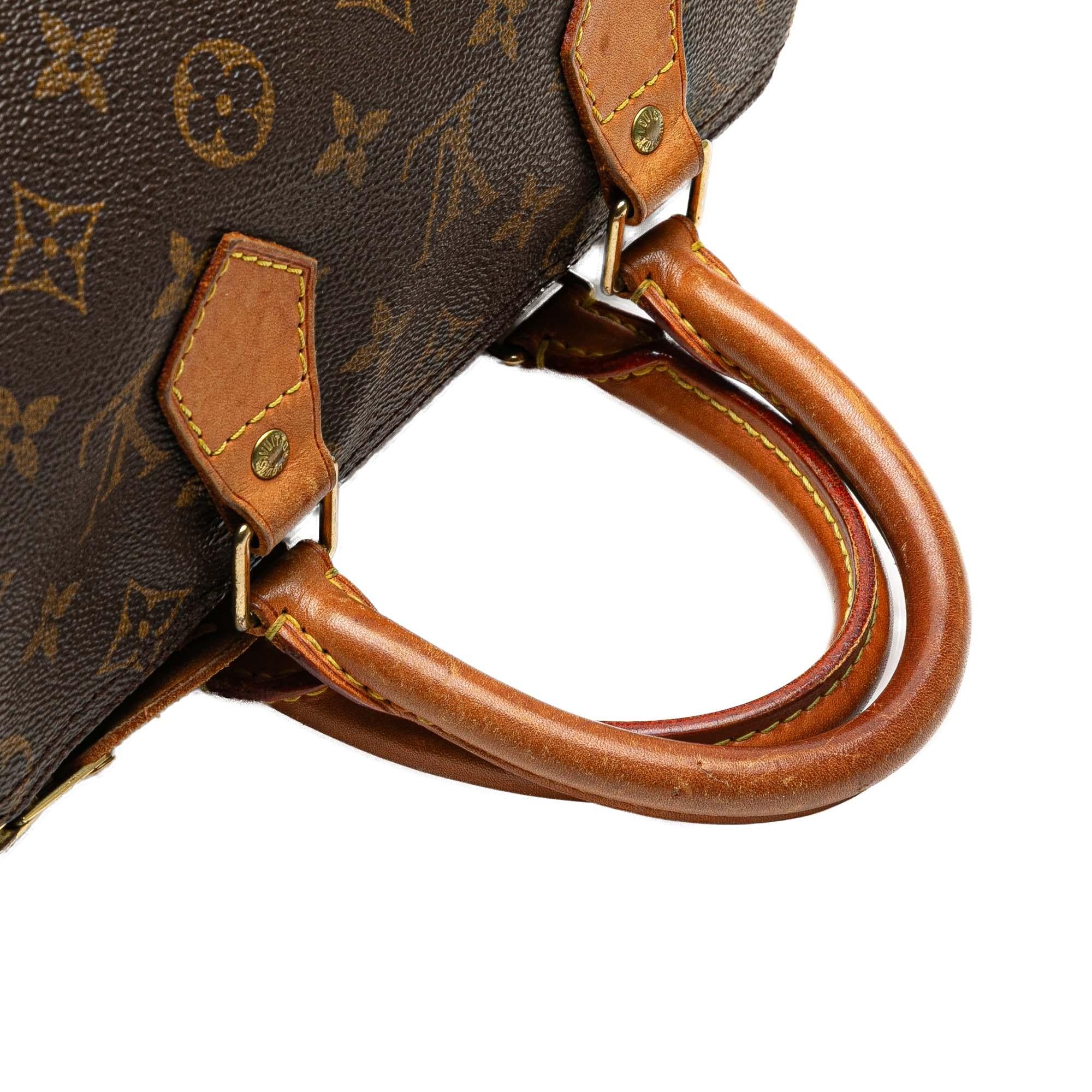 Louis Vuitton Monogram Speedy 25