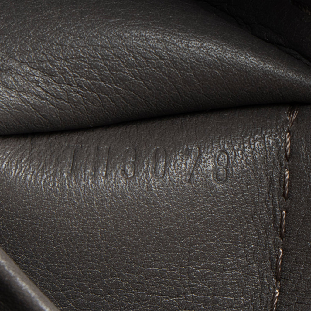 Louis Vuitton Monogram Embossed Suede Python Wish Bag