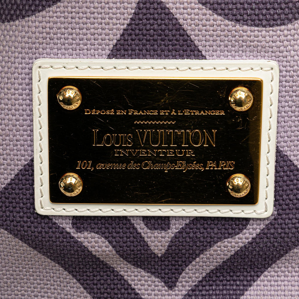 Louis Vuitton Monogram Tahitienne Cabas PM