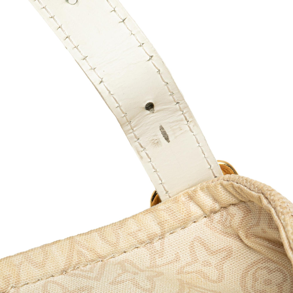 Louis Vuitton Monogram Tahitienne Cabas PM