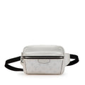 Louis Vuitton Monogram Taigarama Outdoor Bumbag