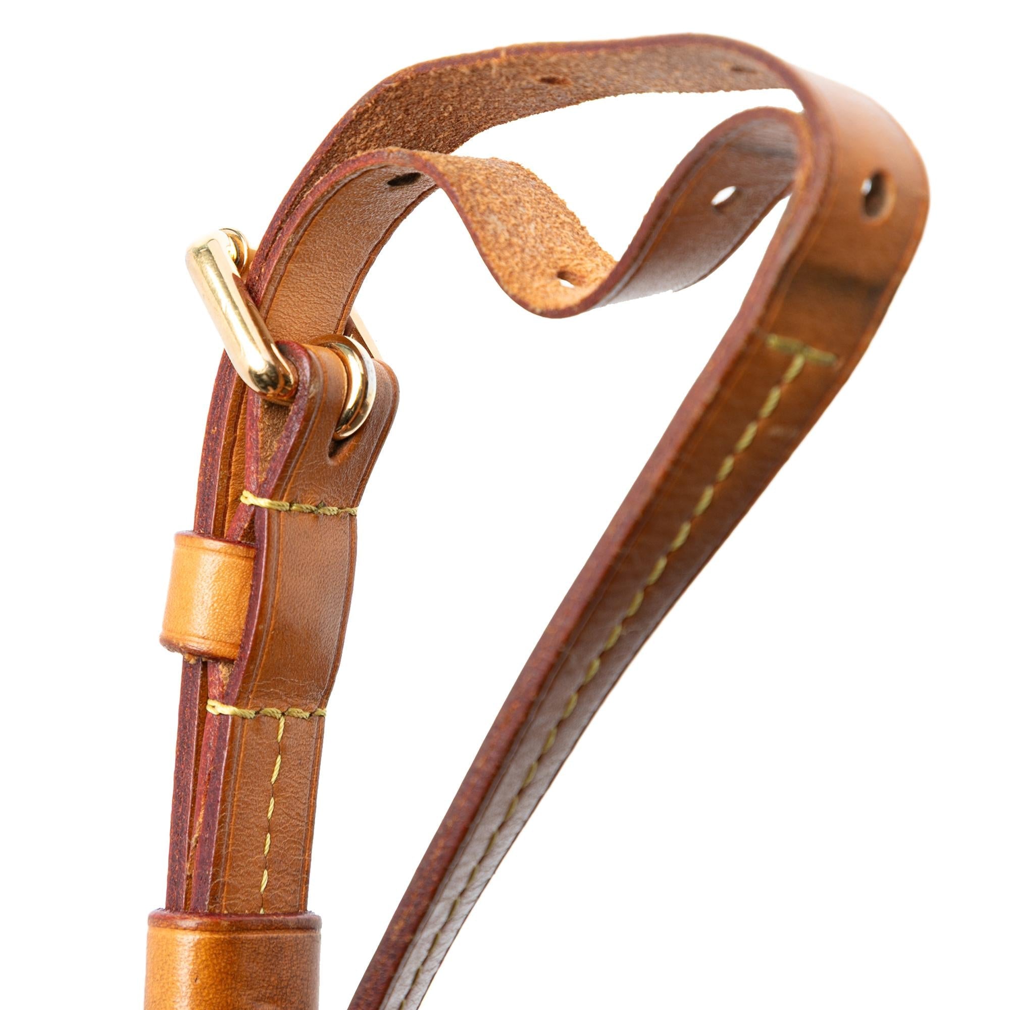 Louis Vuitton Monogram Turenne PM