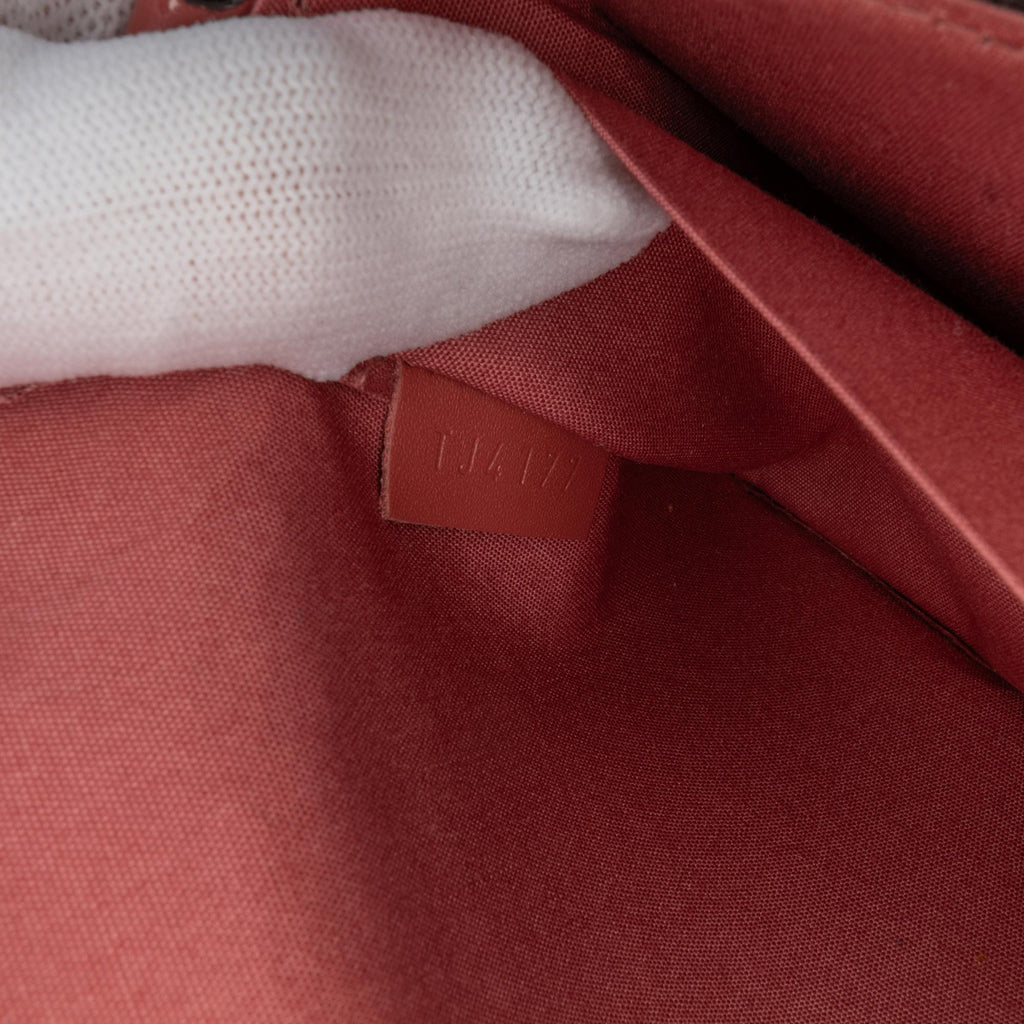Louis Vuitton Monogram Vernis Pochette Felicie Valentine Dog