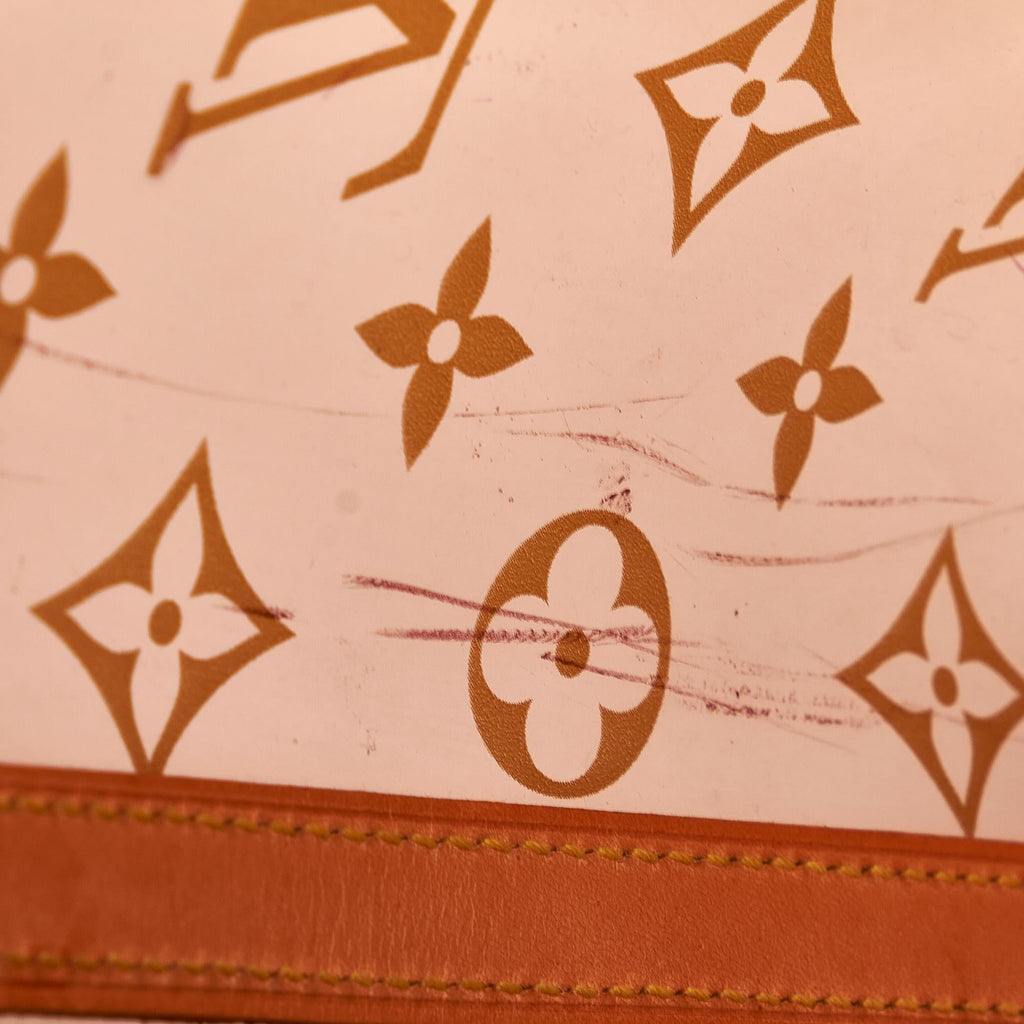 Louis Vuitton Monogram Vinyl Cabas Sac Ambre MM (SHG-KA6Dir)