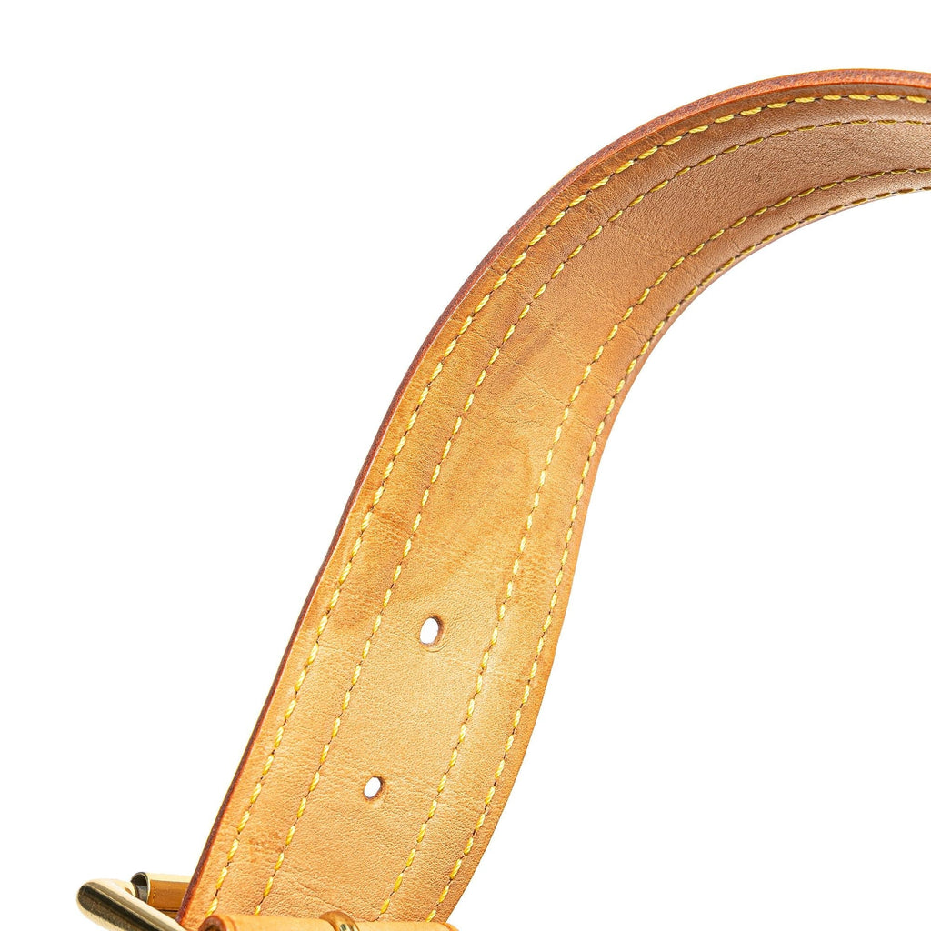 Louis Vuitton Monogram Viva Cite GM