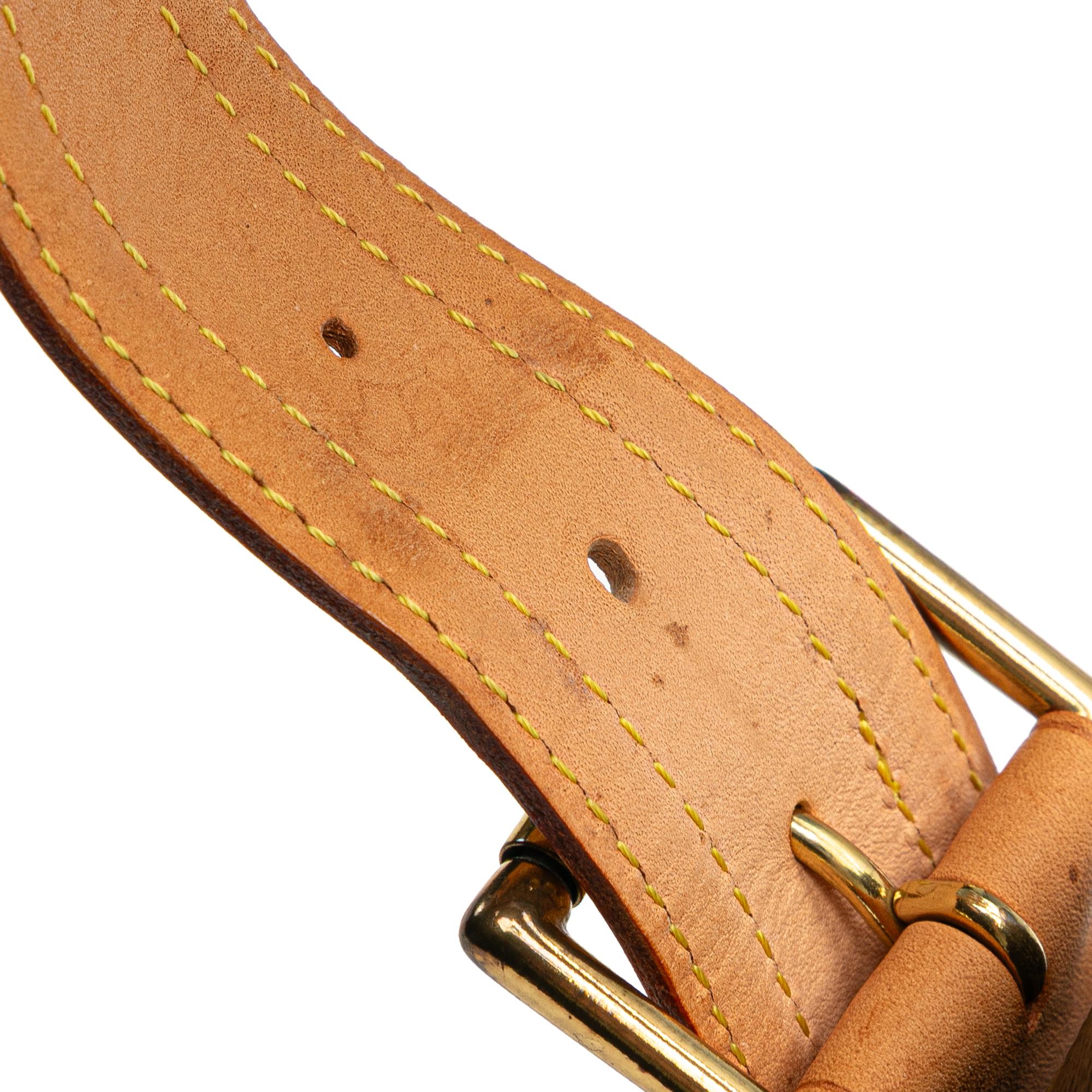 Louis Vuitton Monogram Viva Cite GM